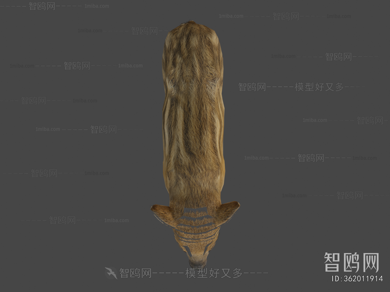 Modern Mammal