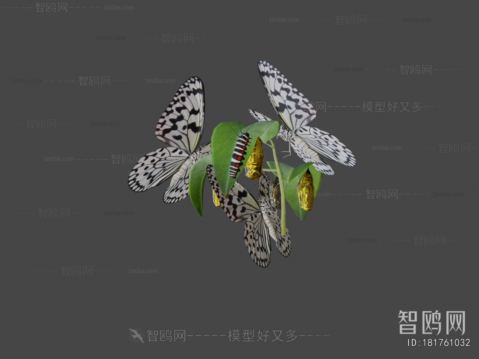 Modern Flying Animals