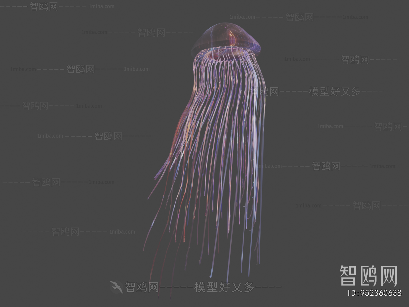 Modern Aquatic Animals