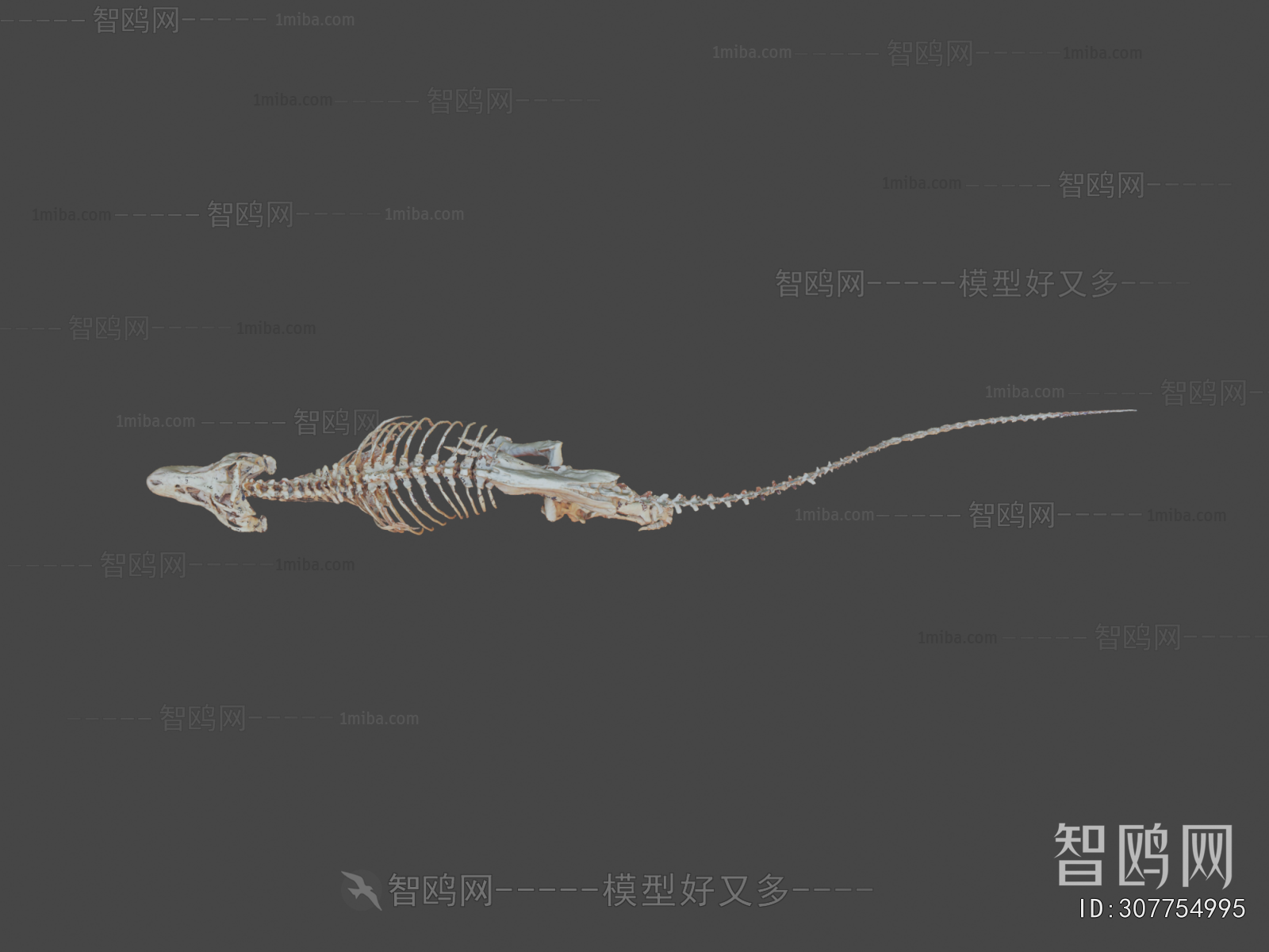 Modern Medical Equipment