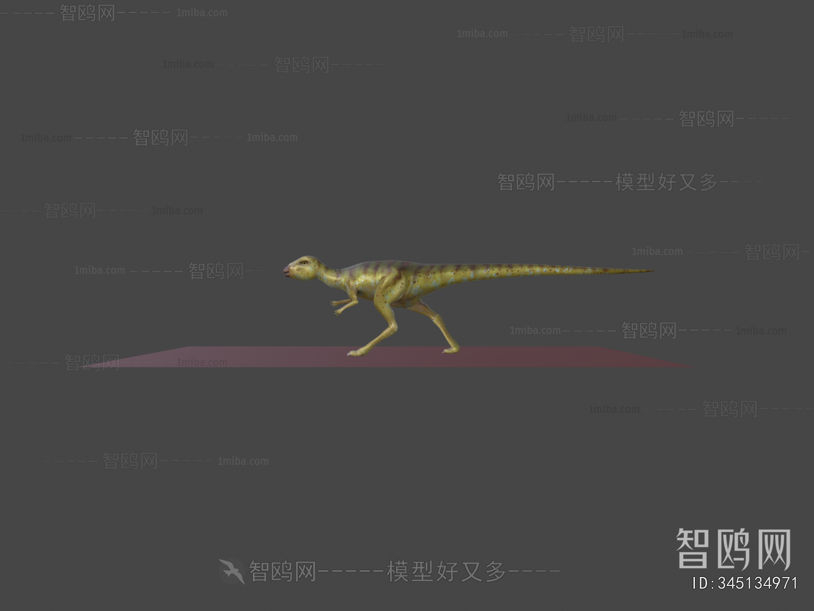 Modern Animal