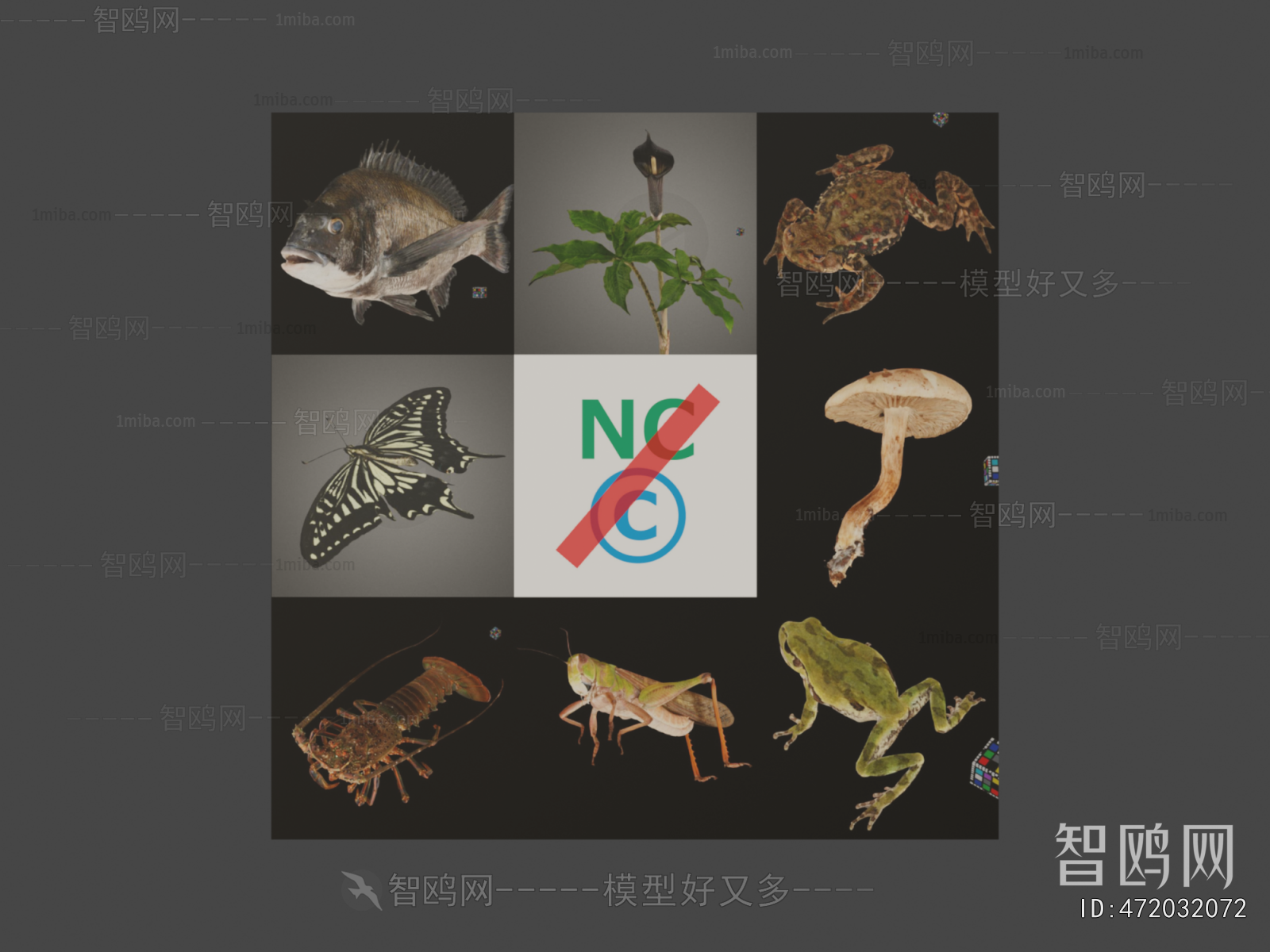 Modern Animal