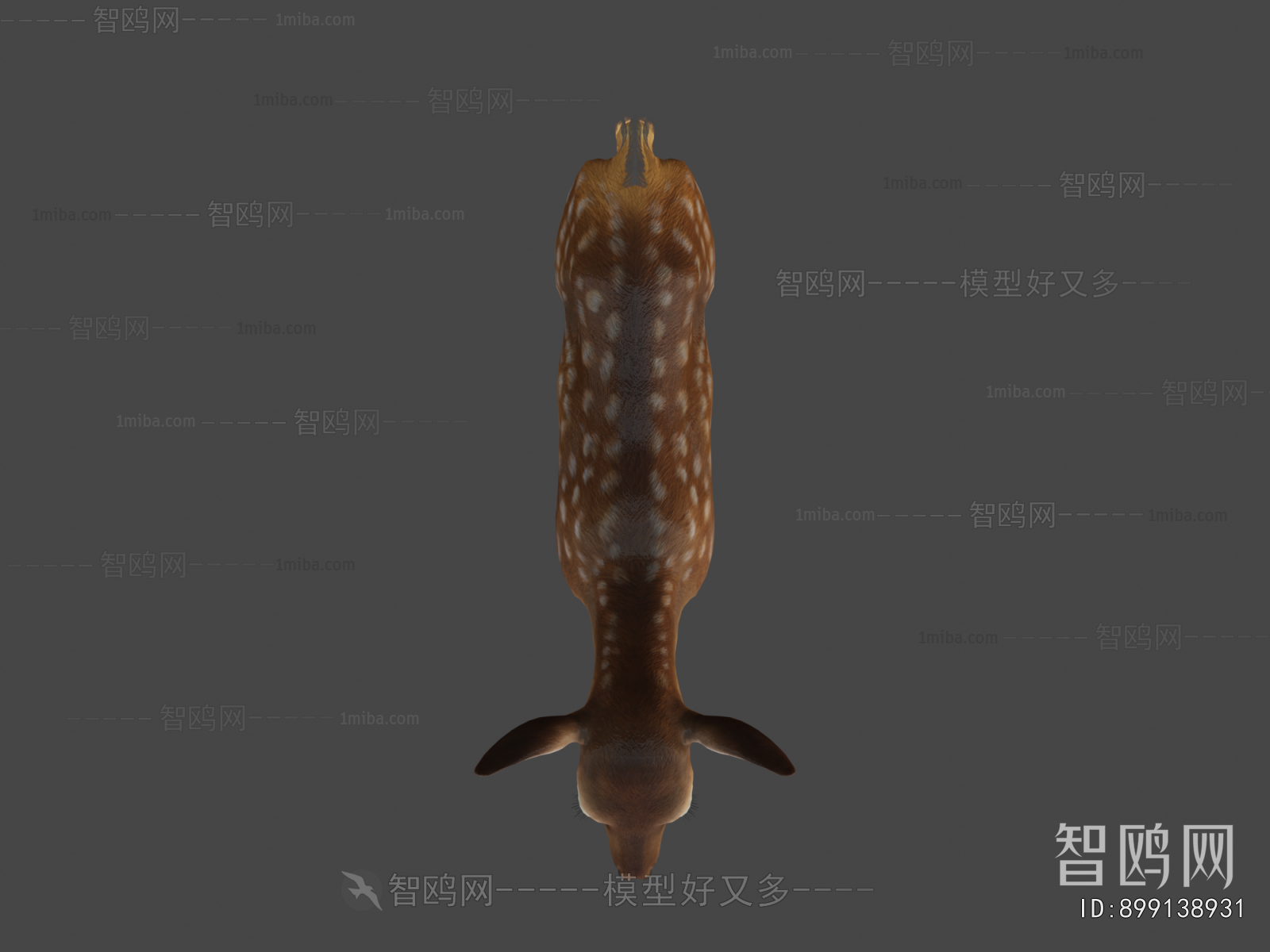 Modern Mammal