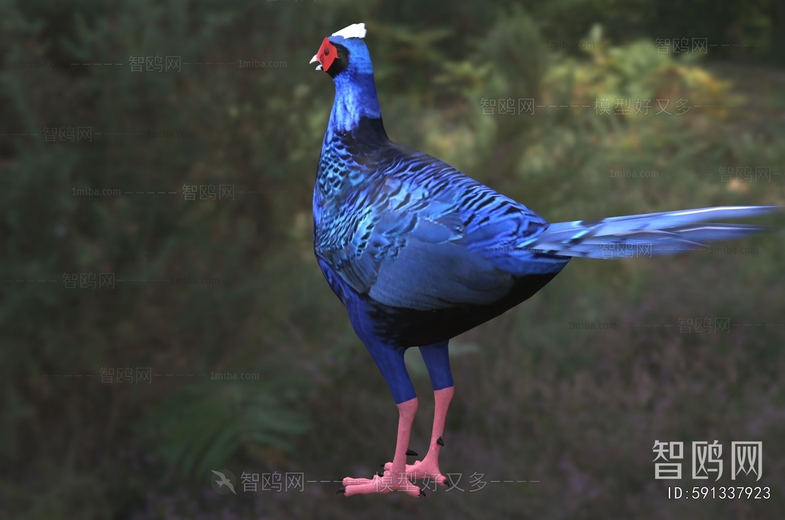 Modern Flying Animals