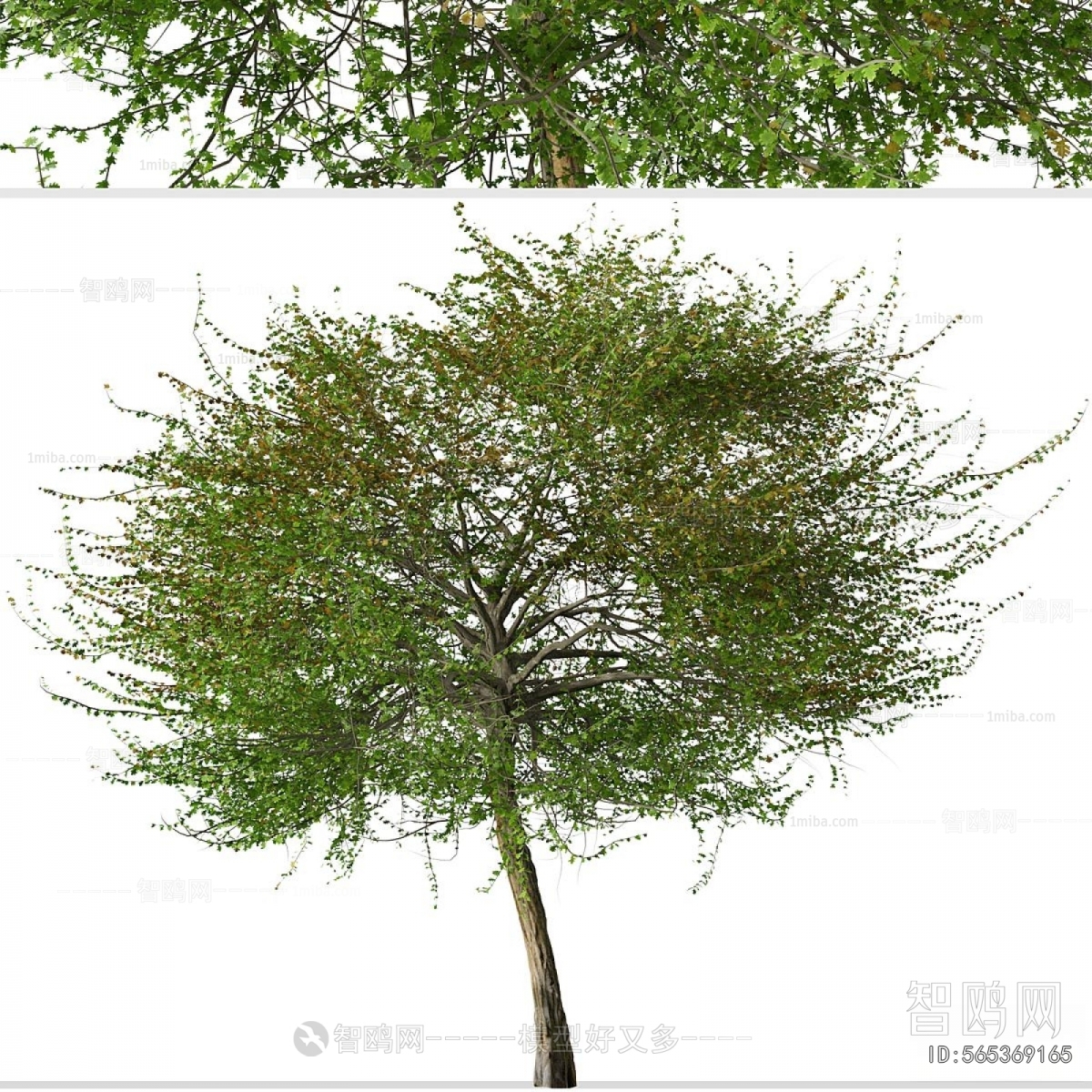 Modern Tree