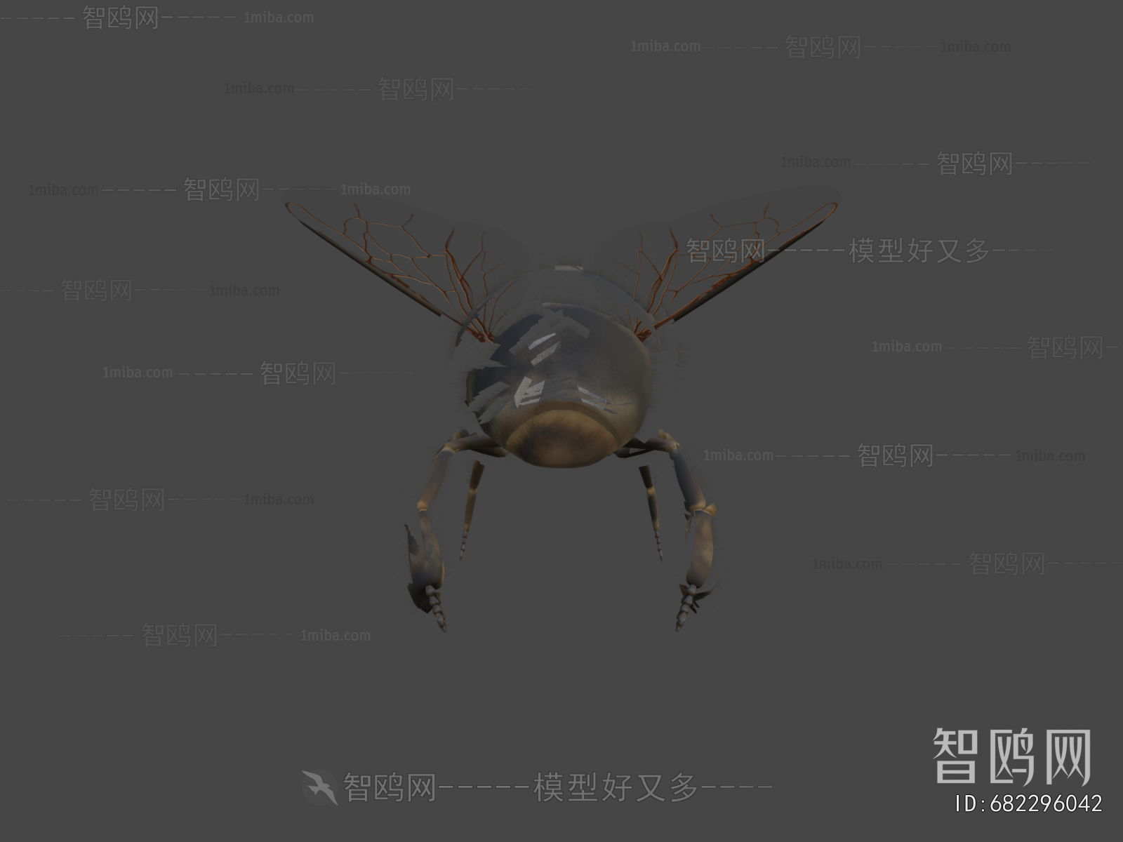 Modern Animal