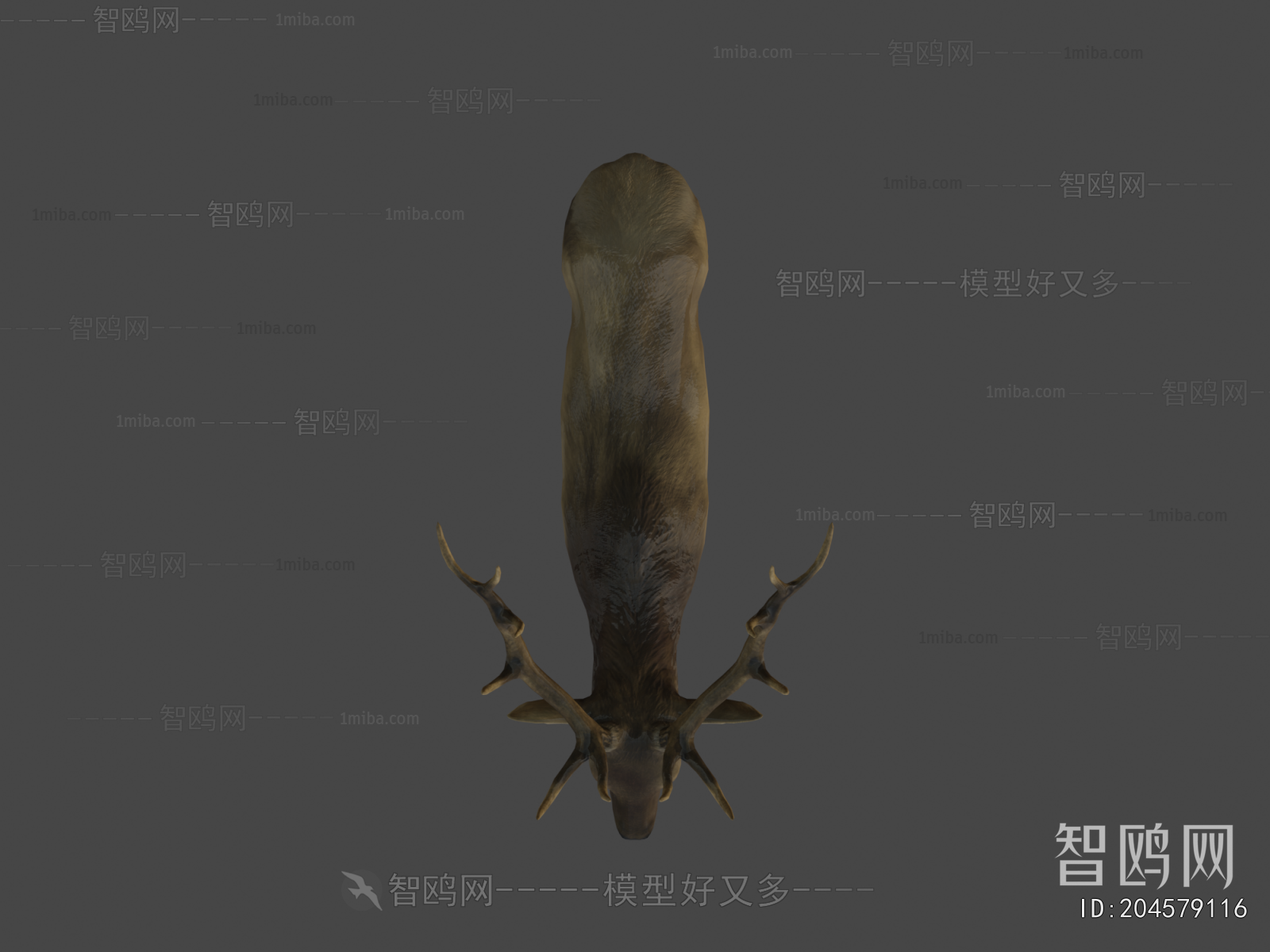 Modern Animal