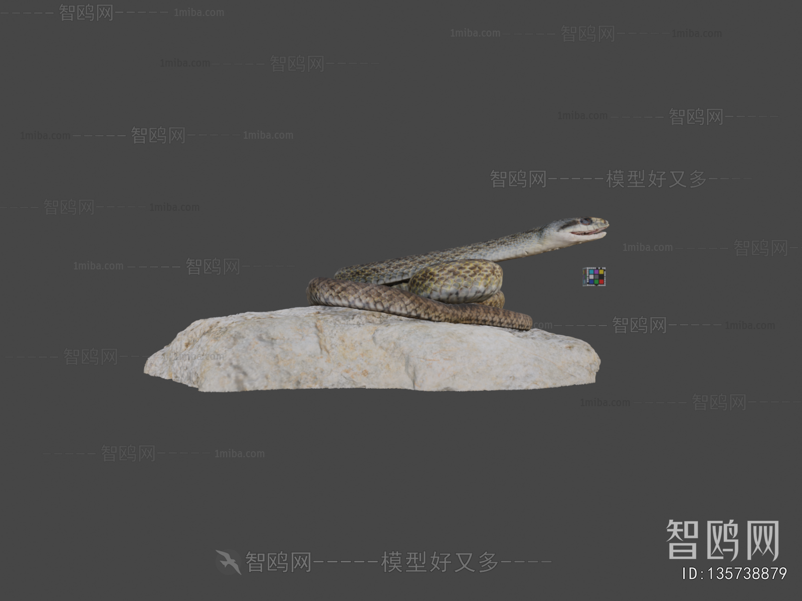Modern Reptile