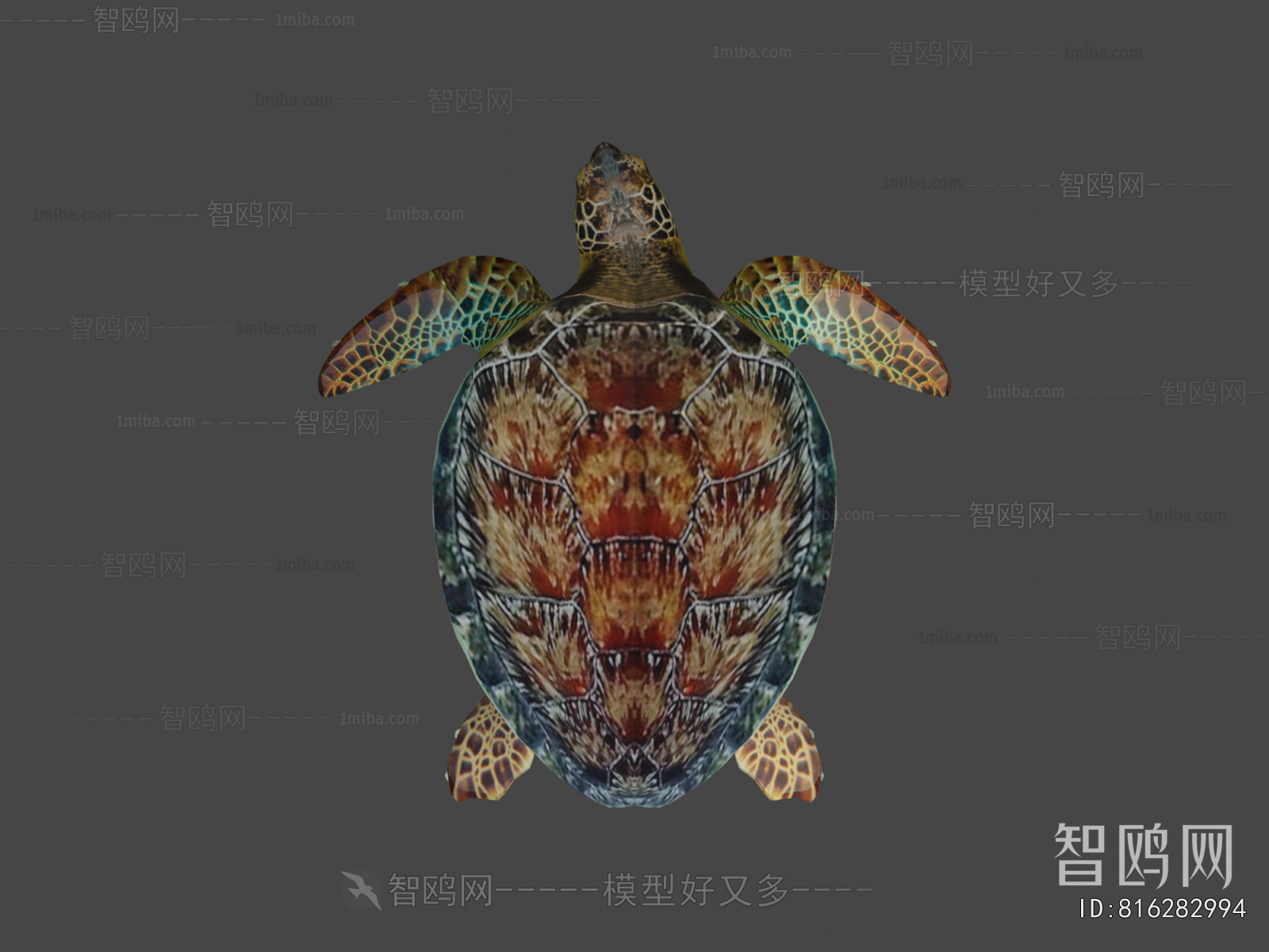Modern Aquatic Animals