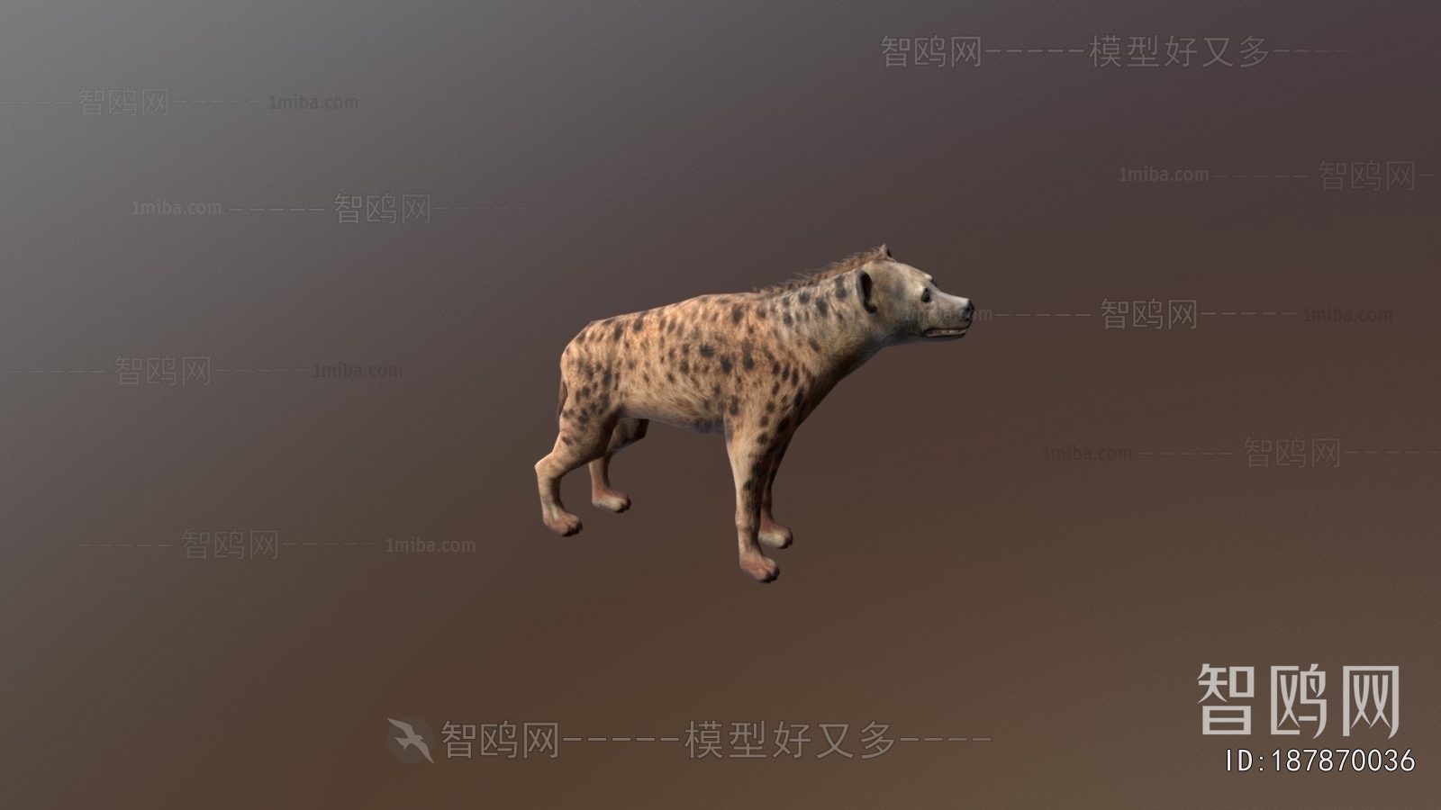 Modern Animal