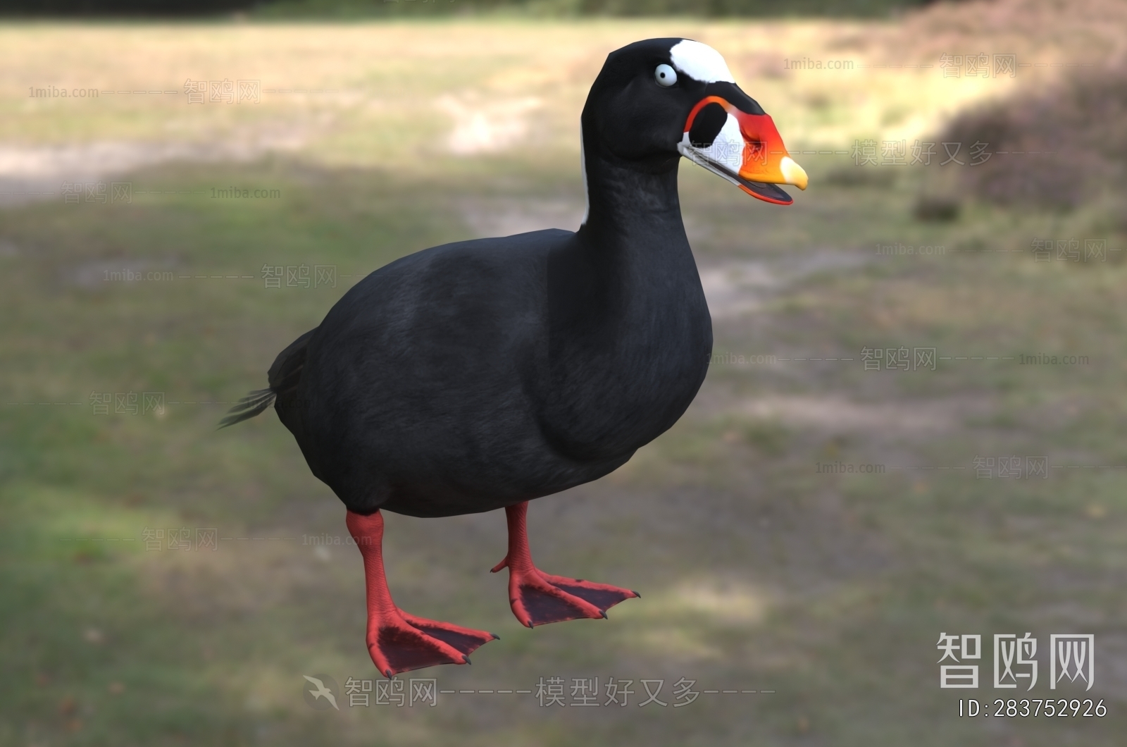 Modern Flying Animals