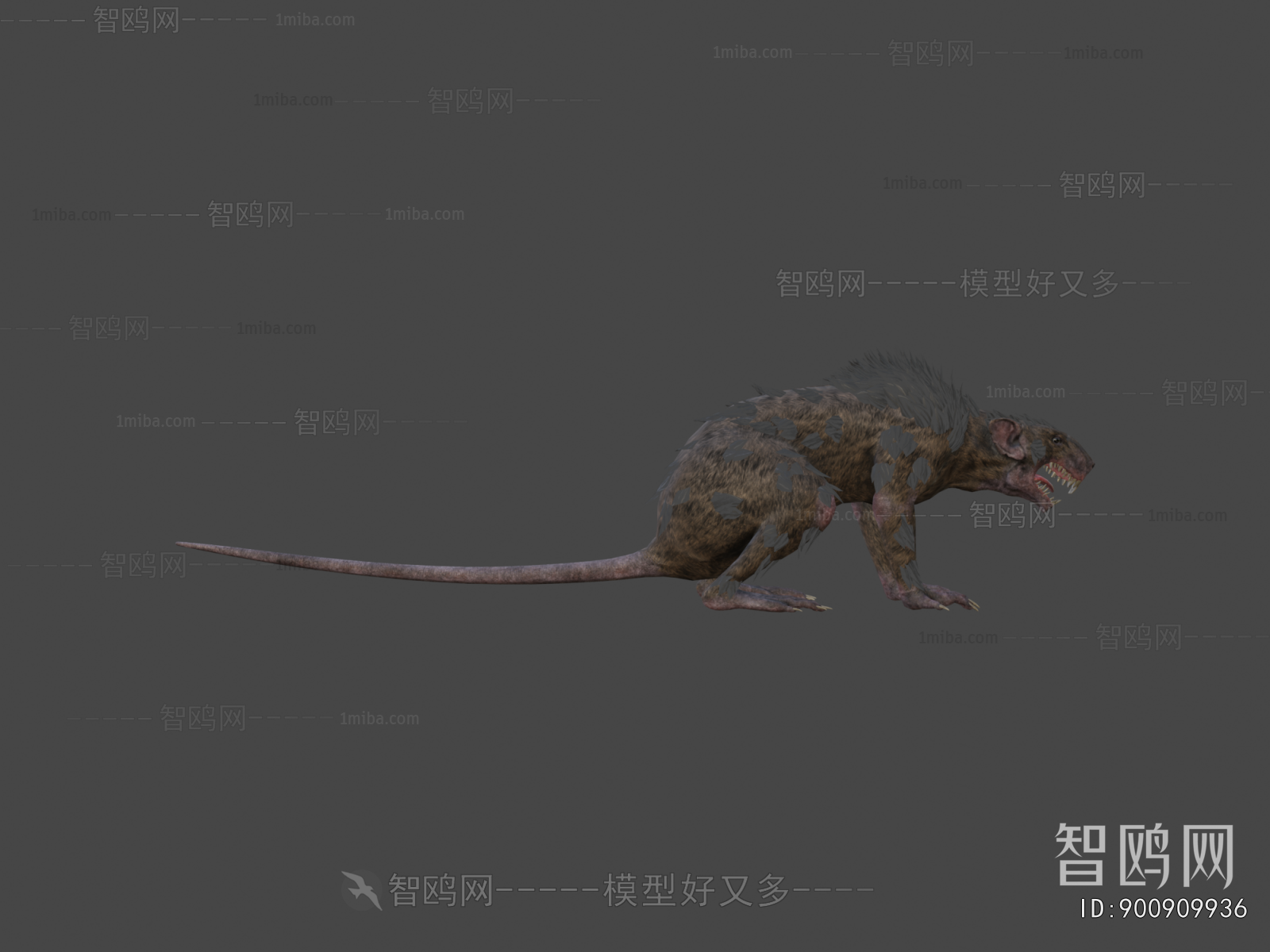 Modern Animal