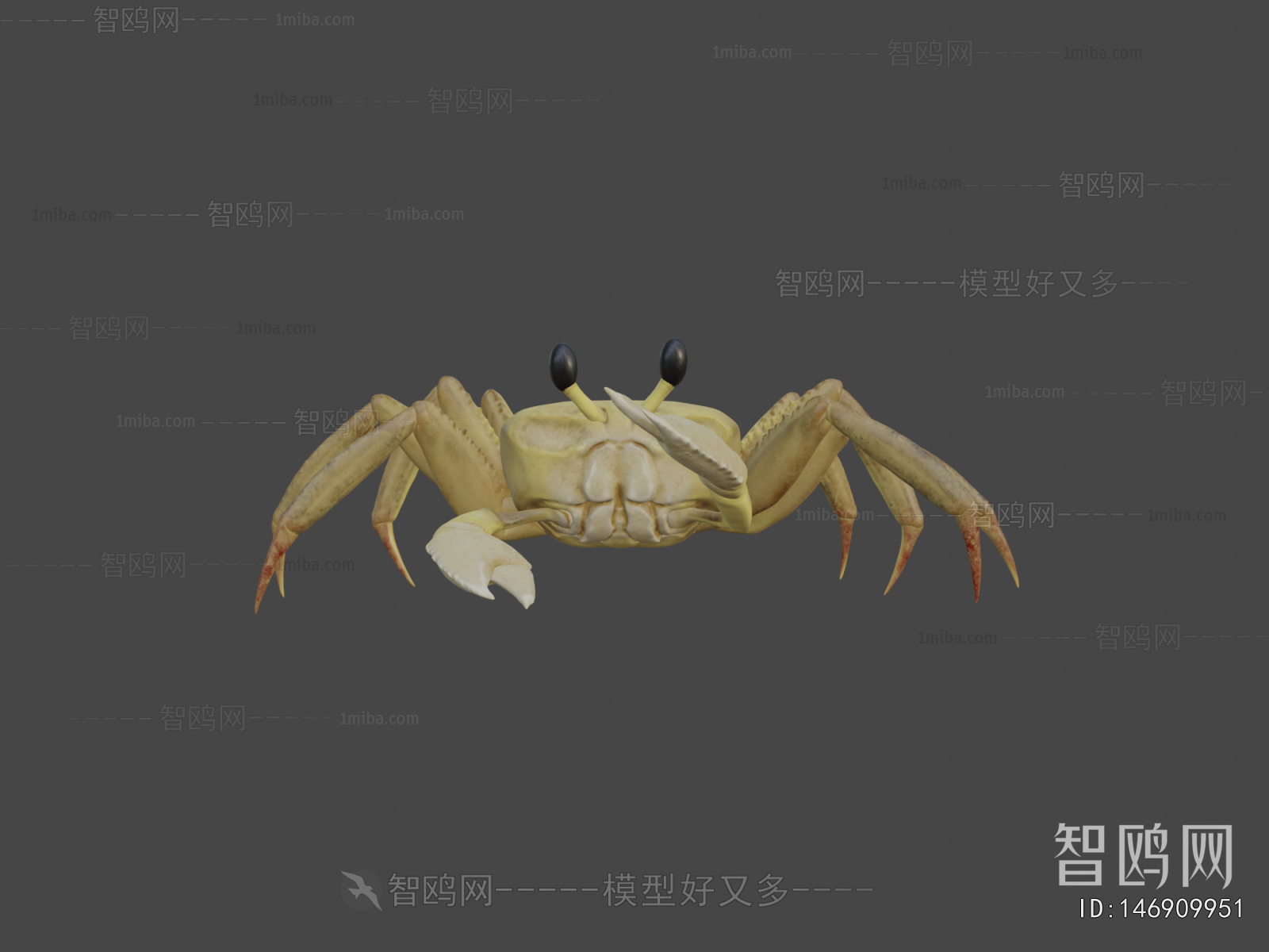 Modern Aquatic Animals