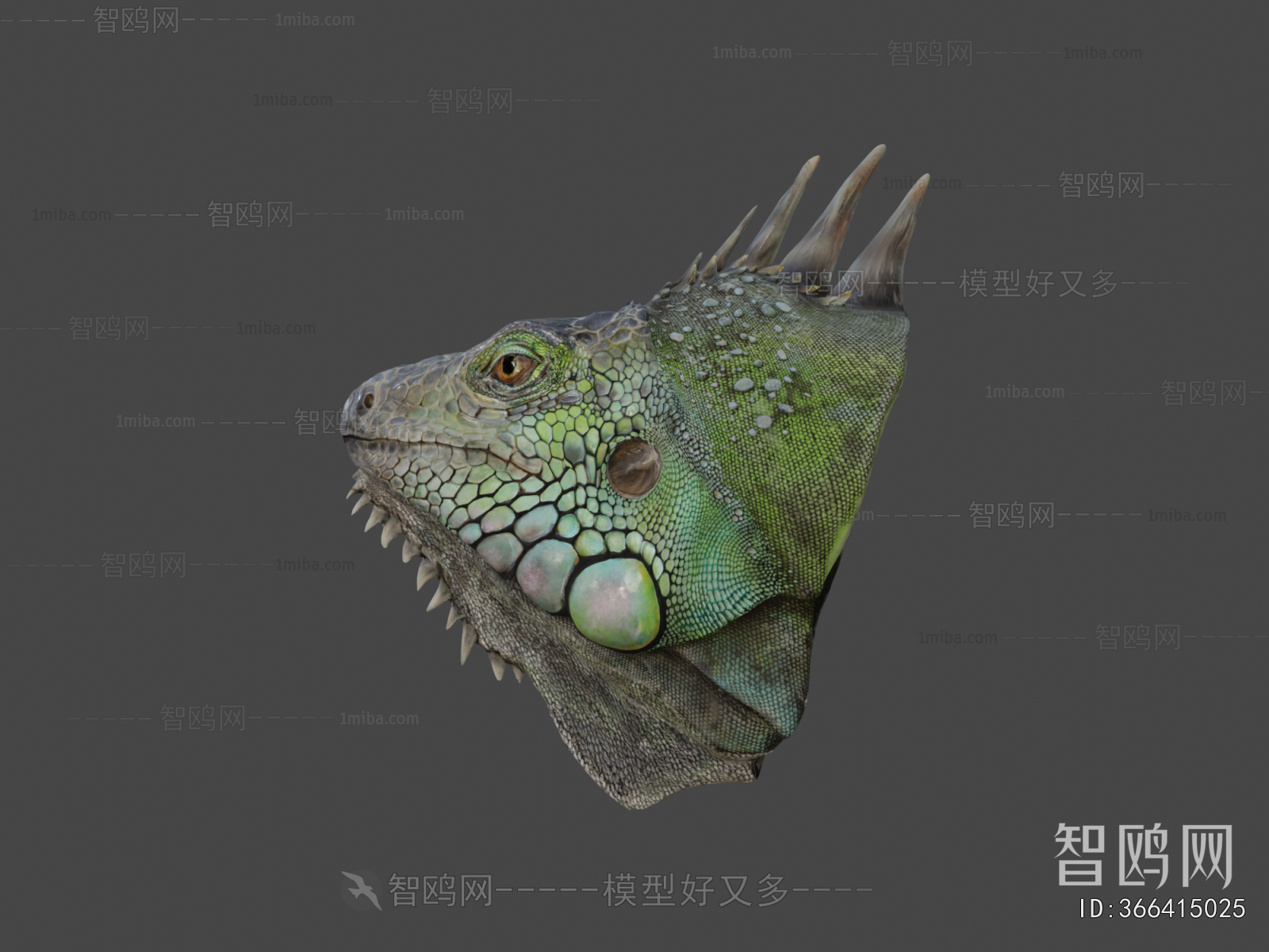 Modern Animal