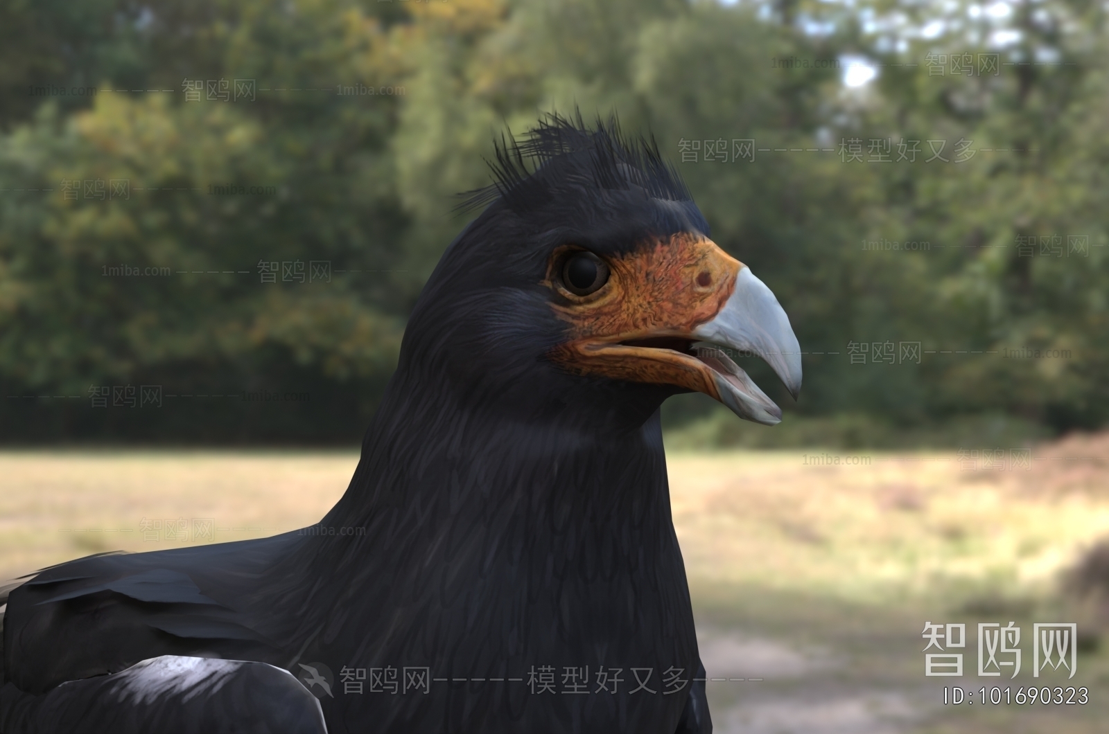 Modern Flying Animals