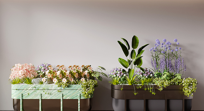 Modern Flower Bed, Flower Bowl, Flower Box