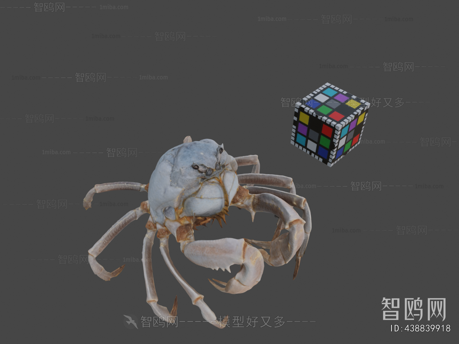 Modern Animal