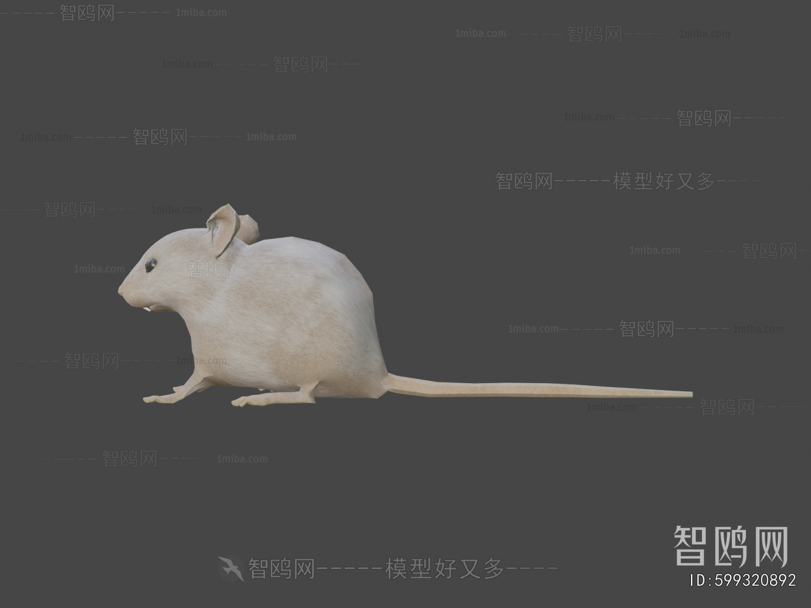 Modern Mammal