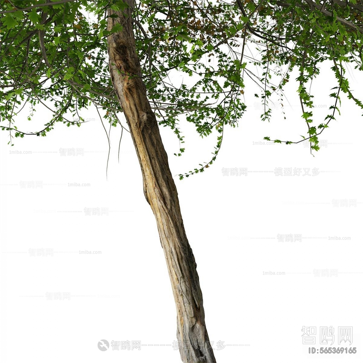 Modern Tree