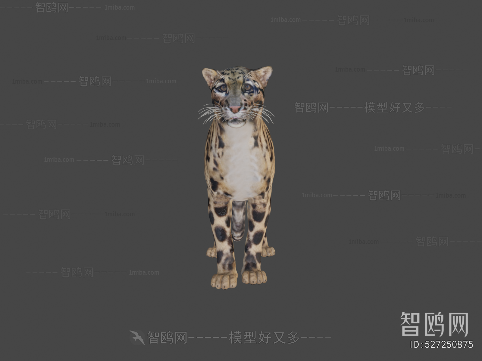 Modern Mammal