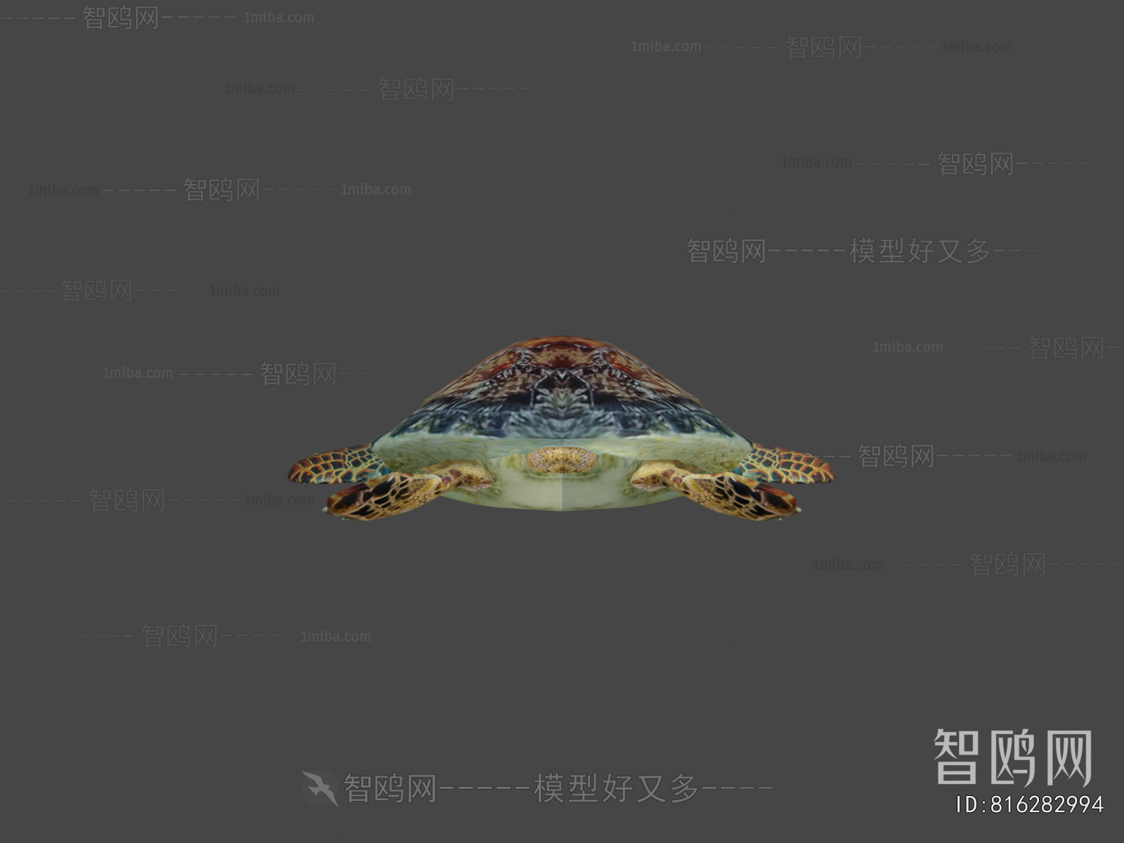 Modern Aquatic Animals
