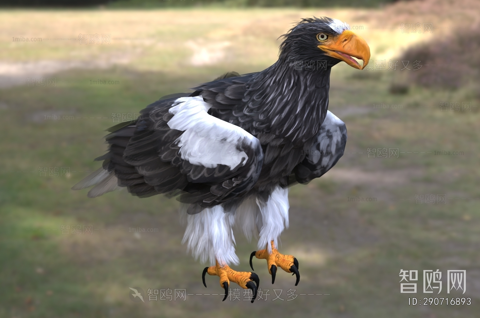 Modern Flying Animals