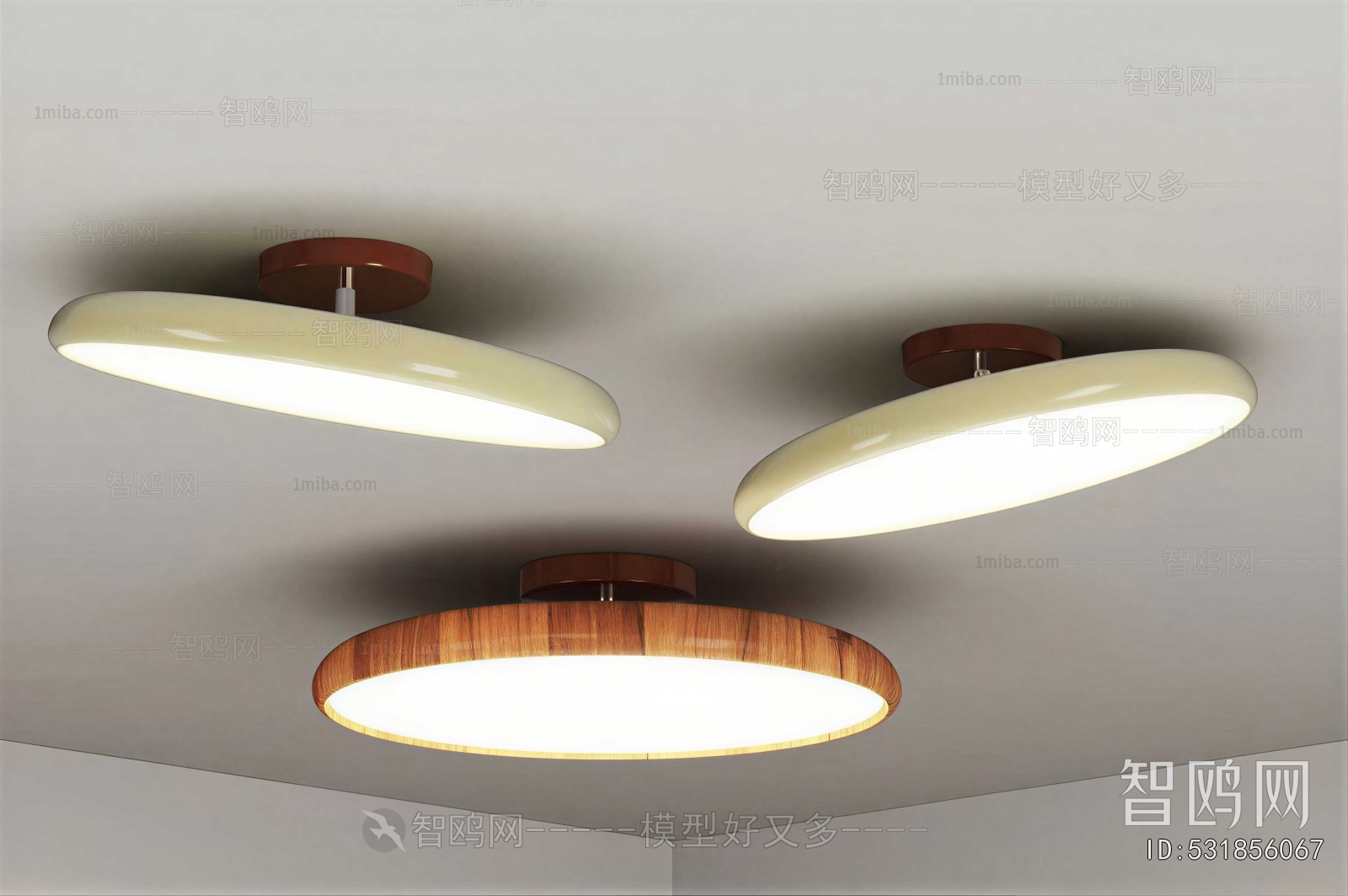 Modern Ceiling Ceiling Lamp