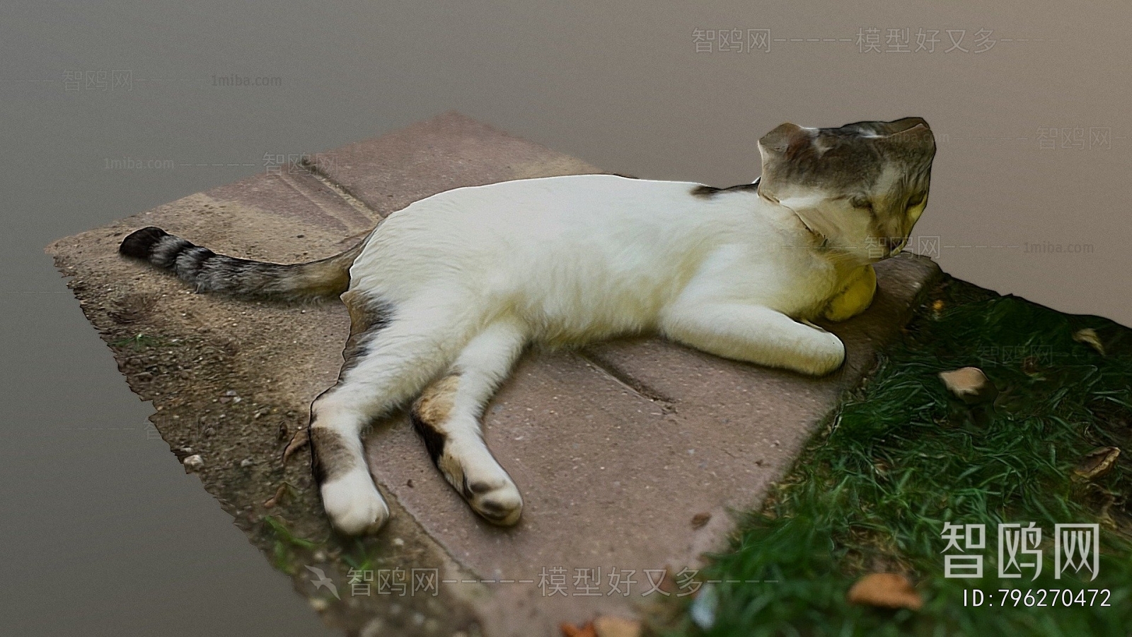 Modern Animal Cat