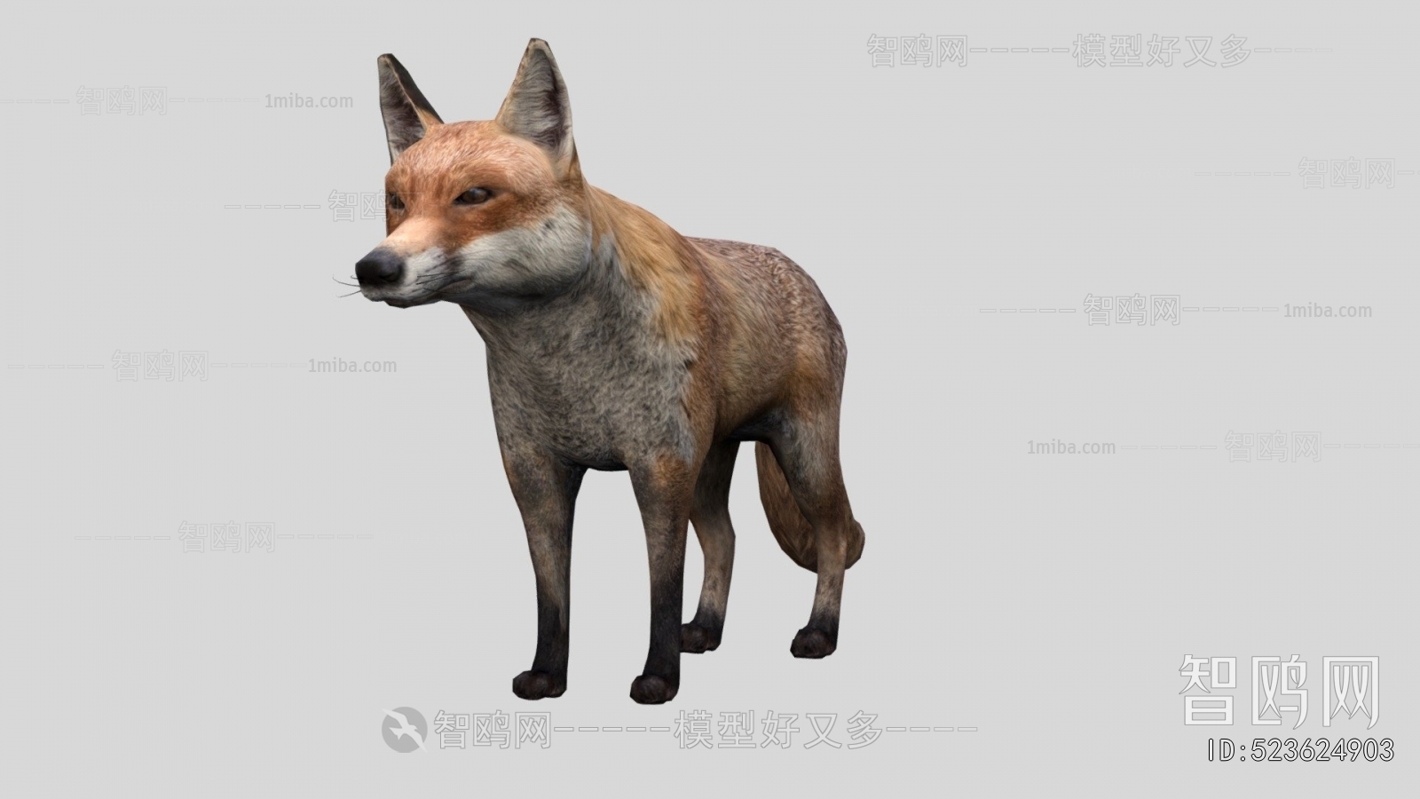 Modern Mammal