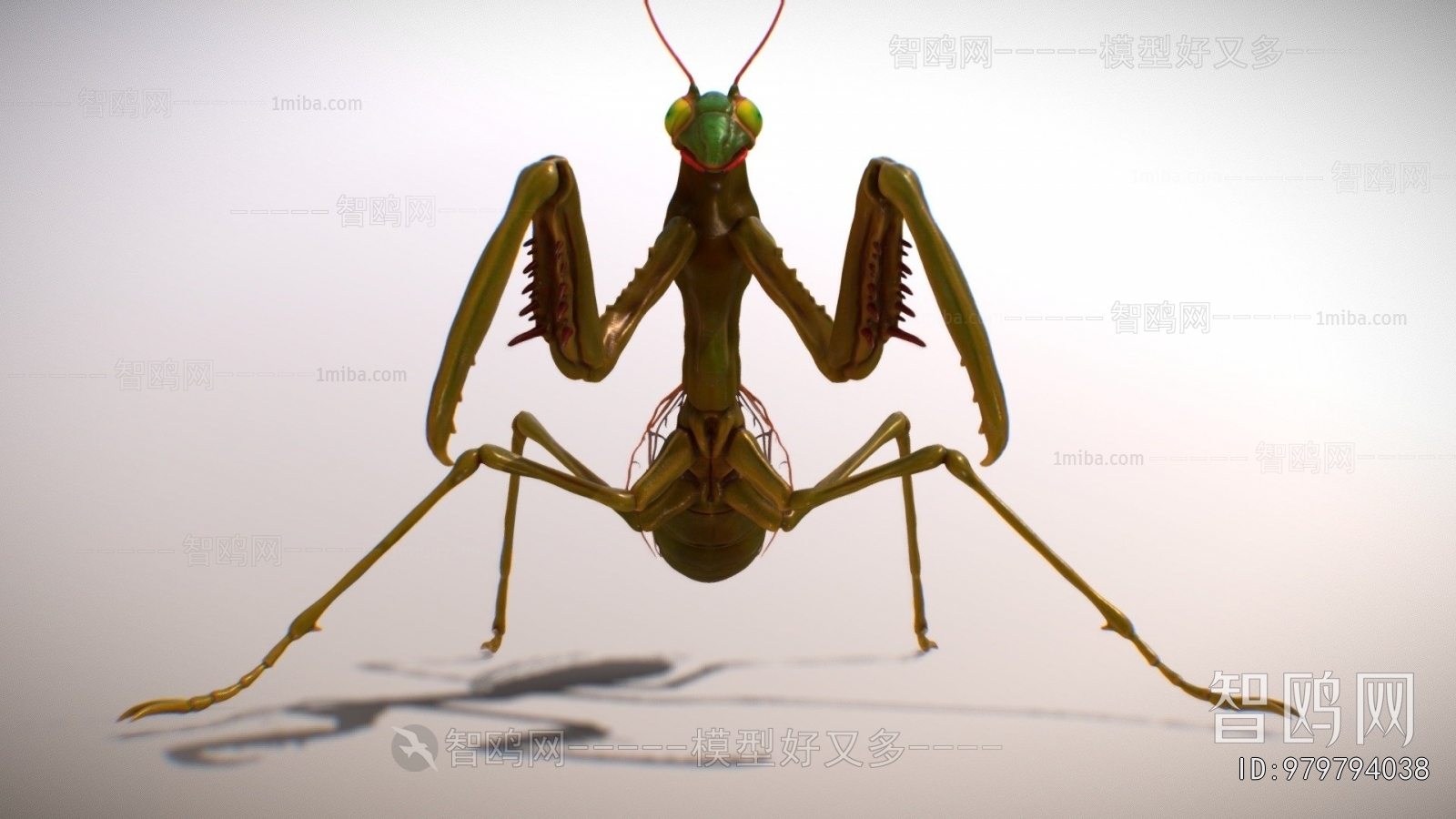 Modern Animal