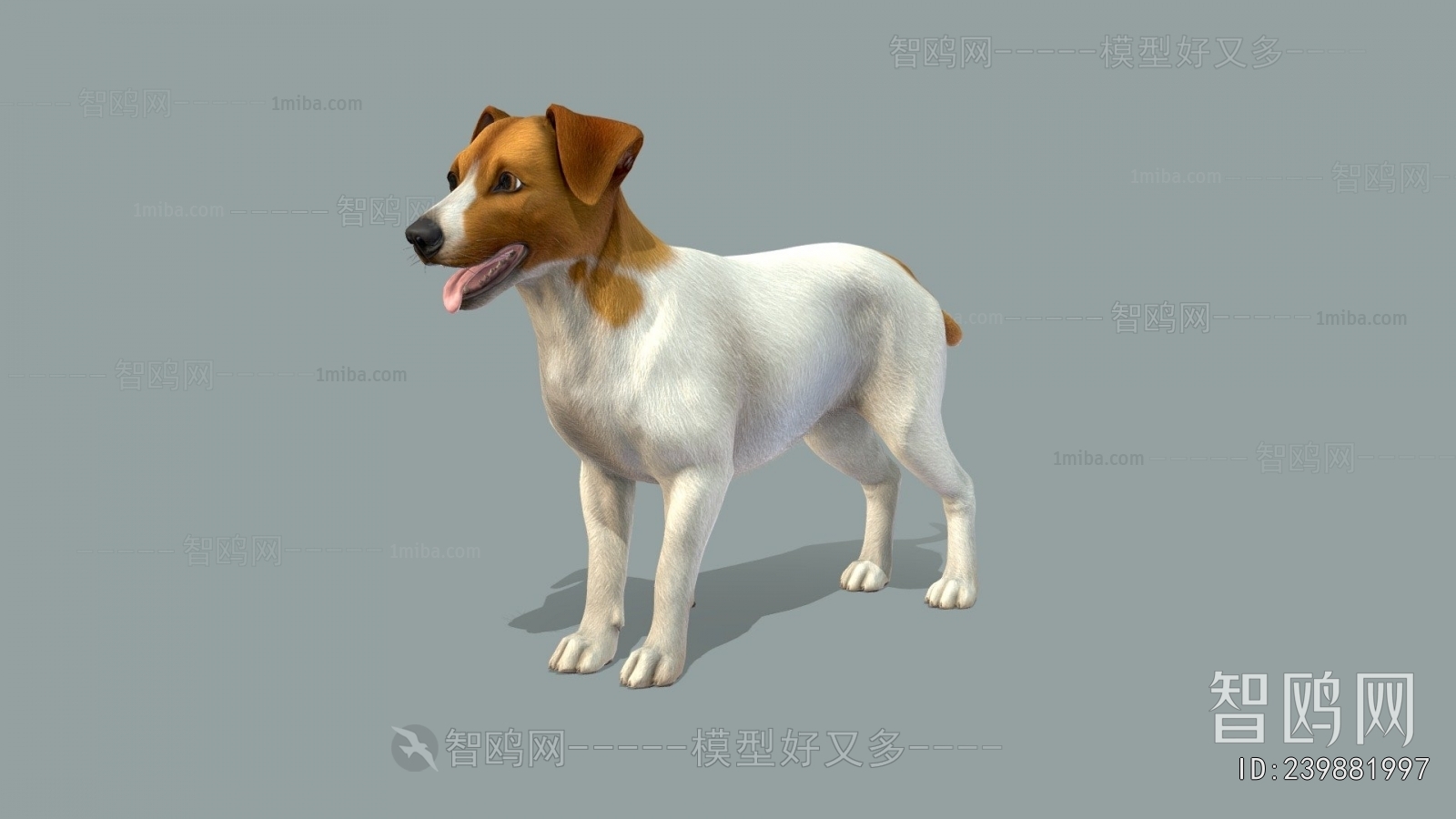 Modern Animal