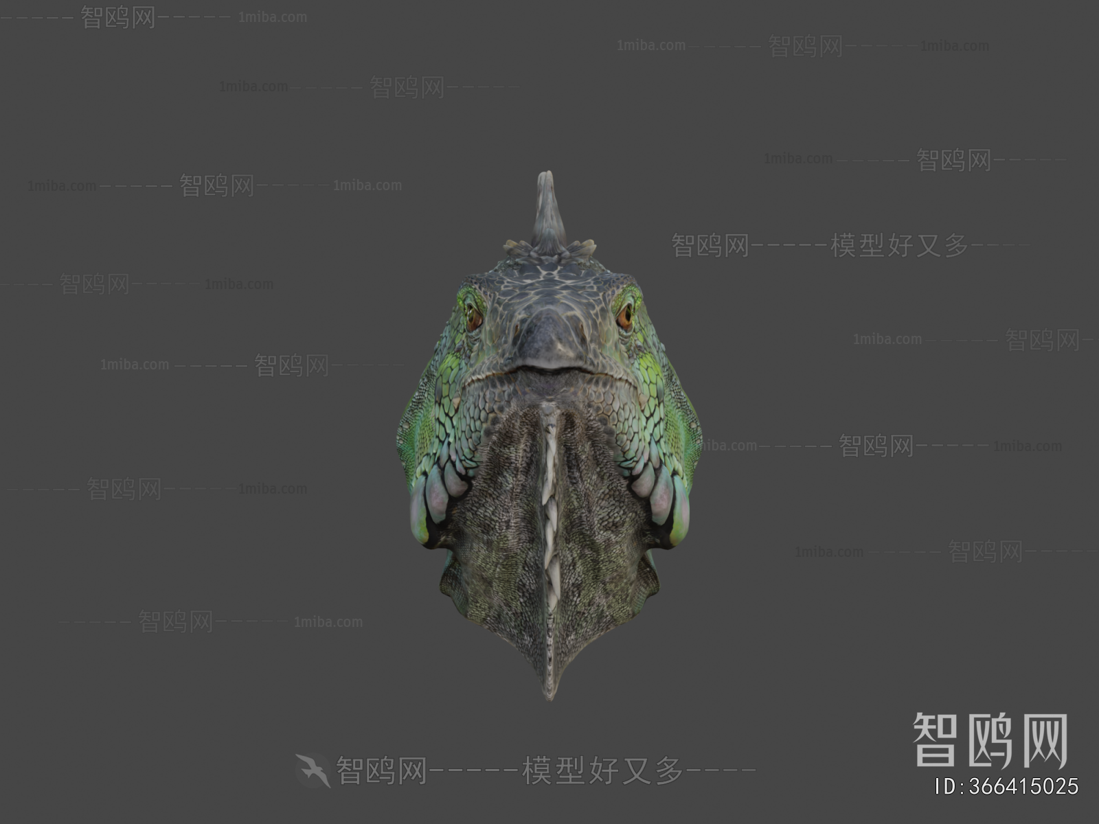 Modern Animal
