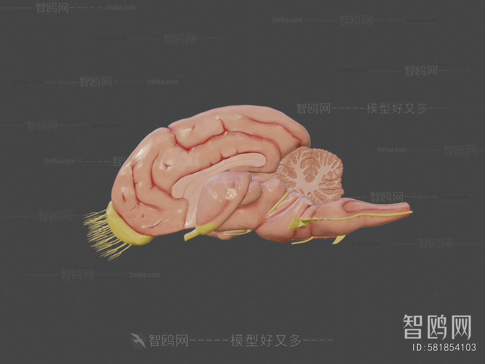 Modern Medical Equipment