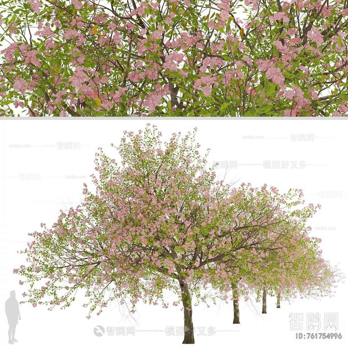Modern Tree