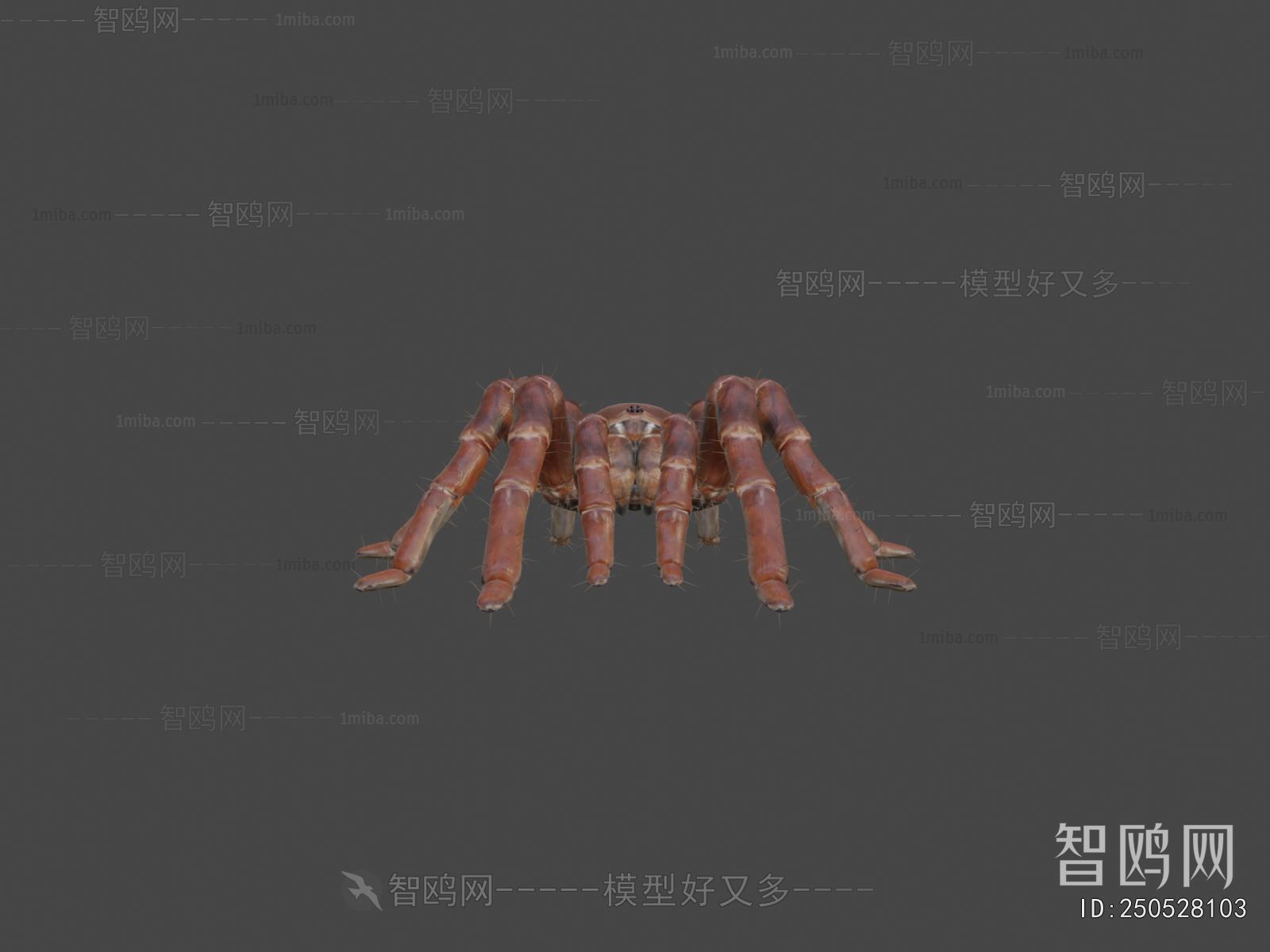 Modern Other Animals