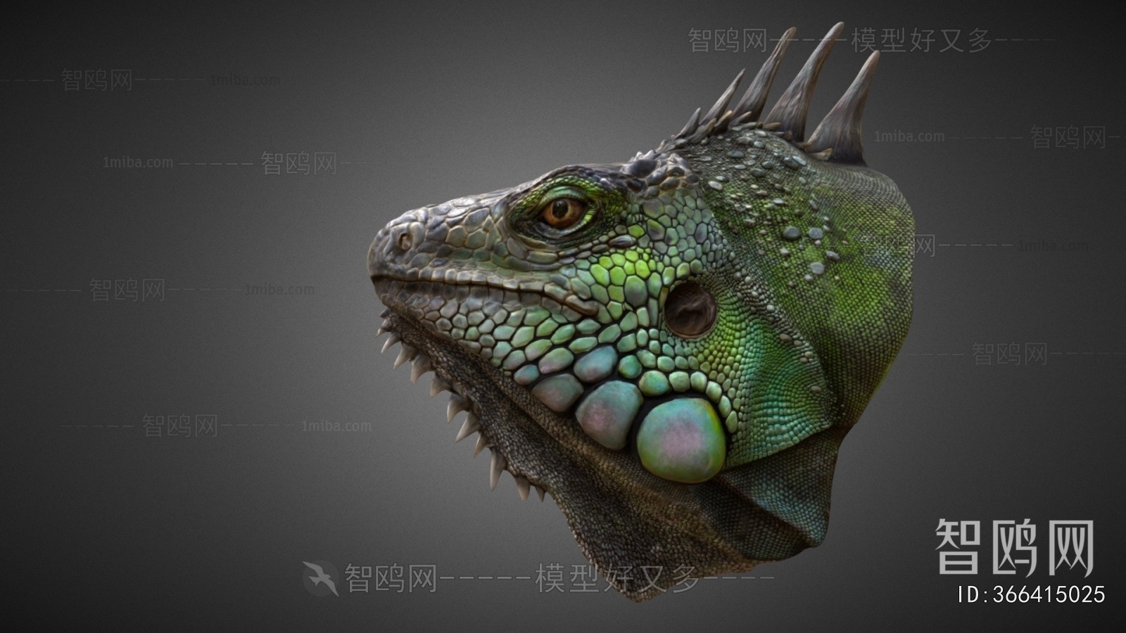 Modern Animal