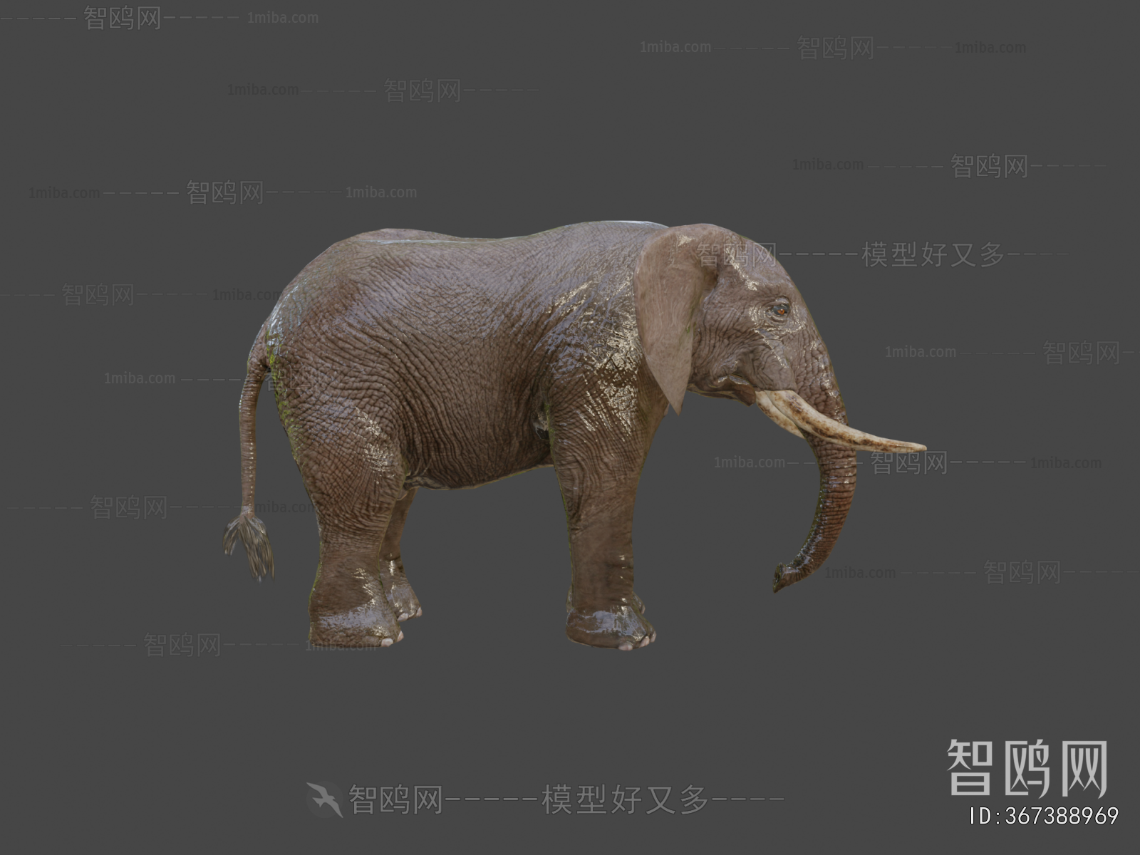 Modern Other Animals