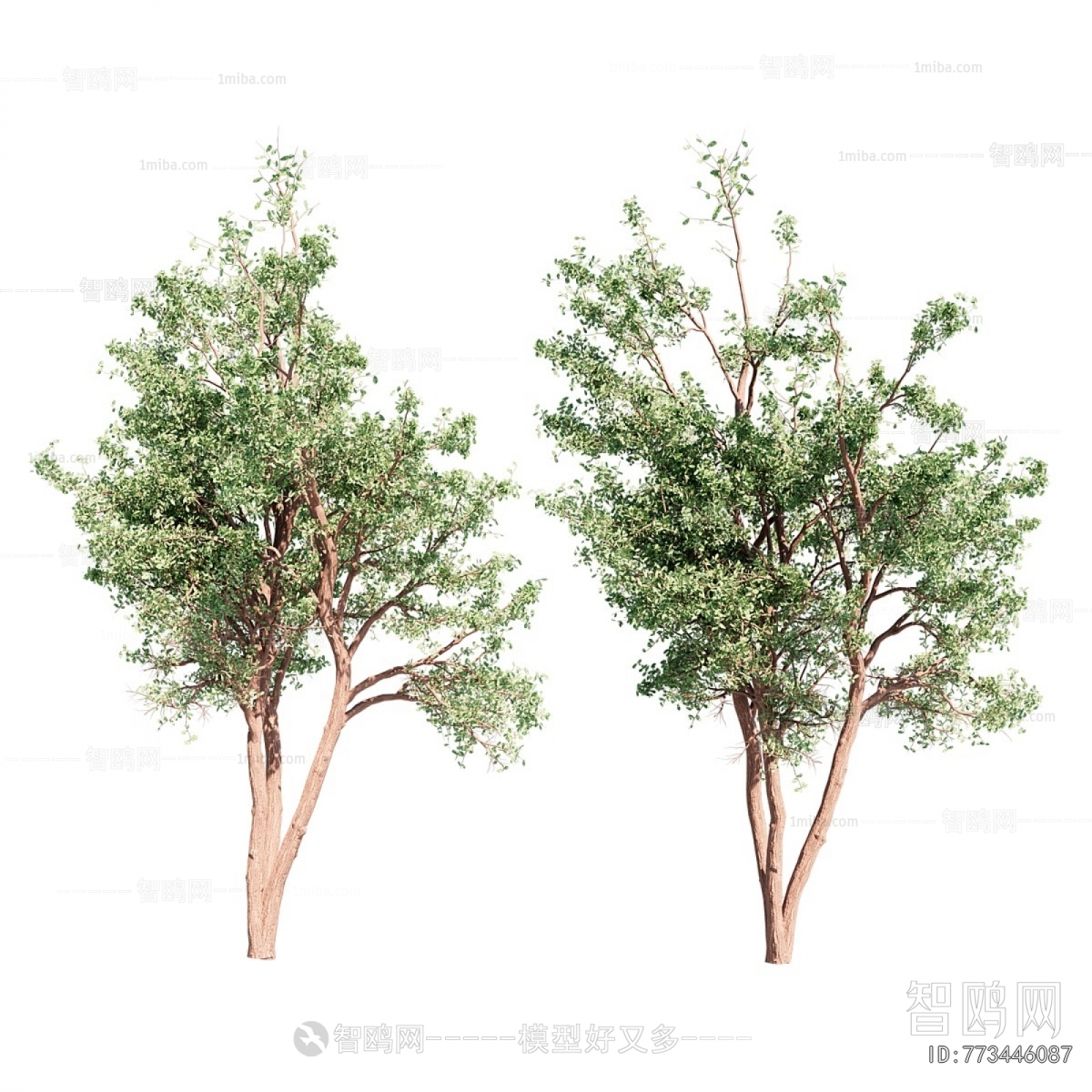 Modern Tree