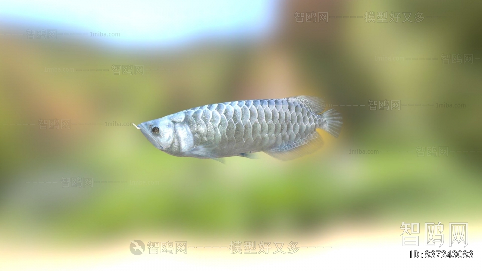 Modern Animal
