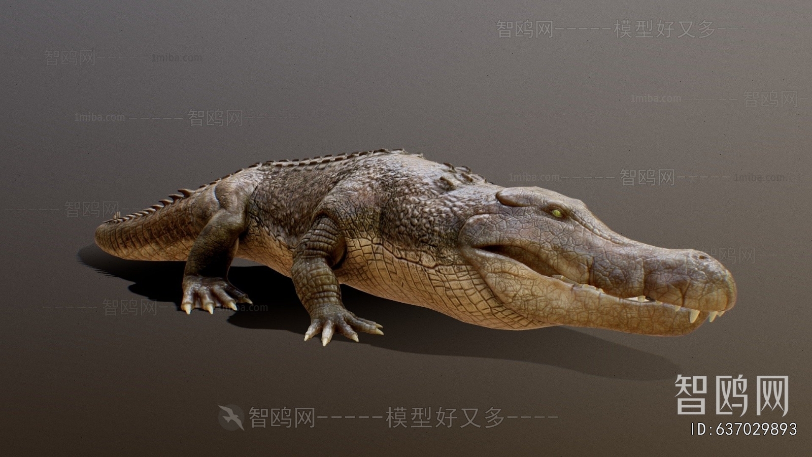Modern Reptile