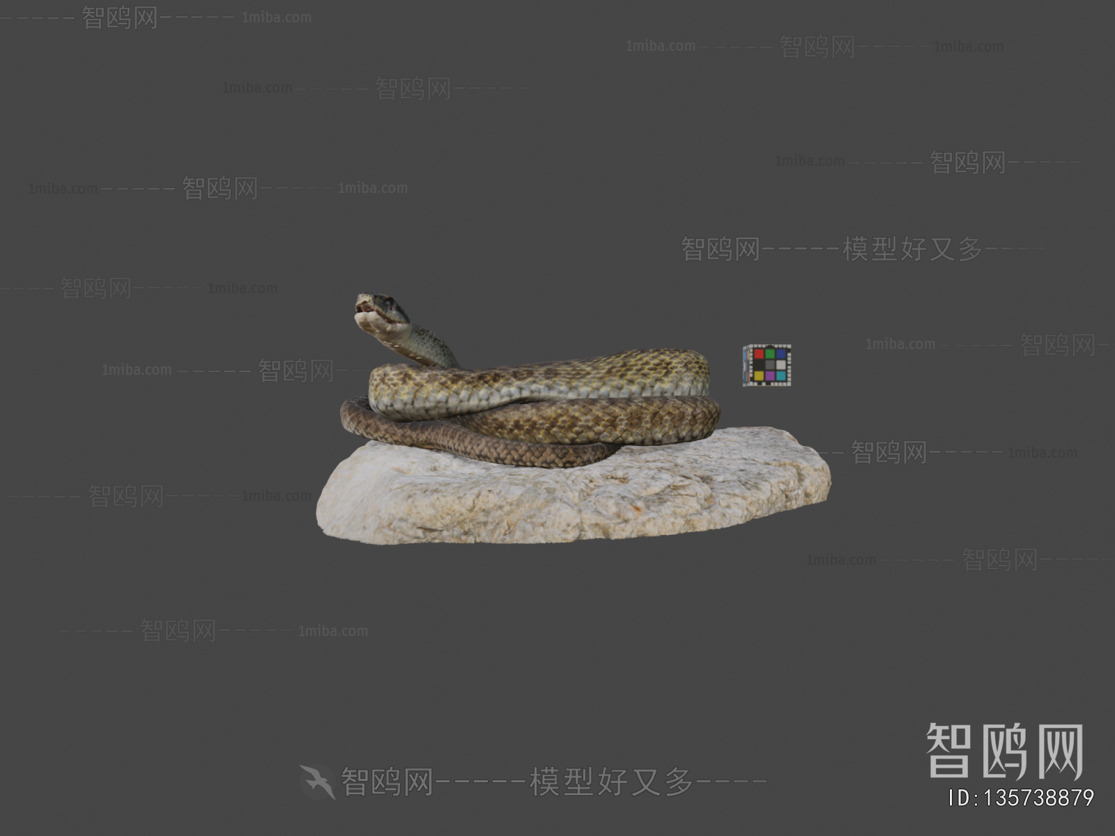 Modern Reptile