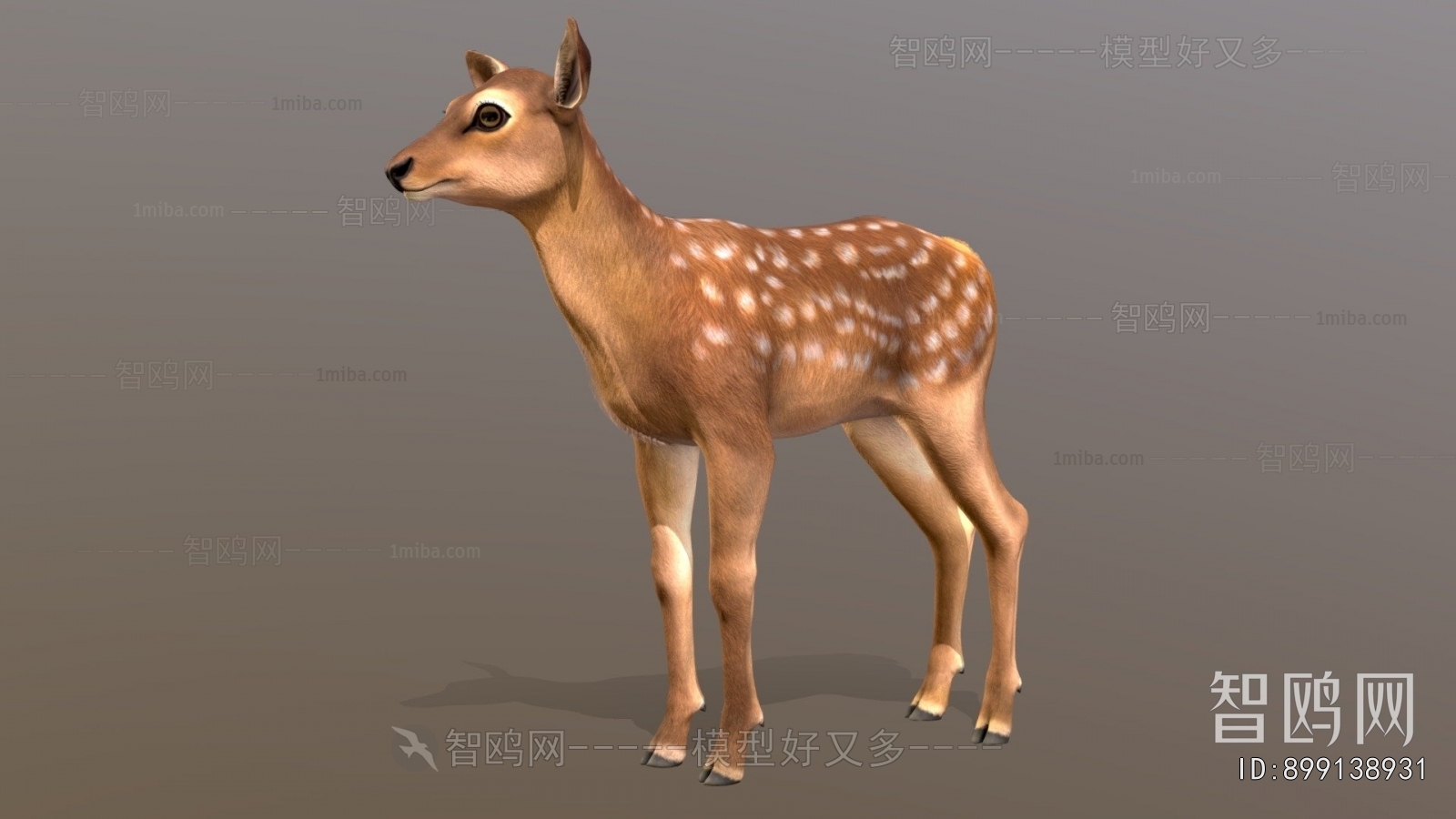 Modern Mammal