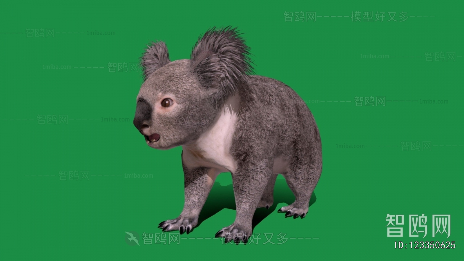 Modern Mammal