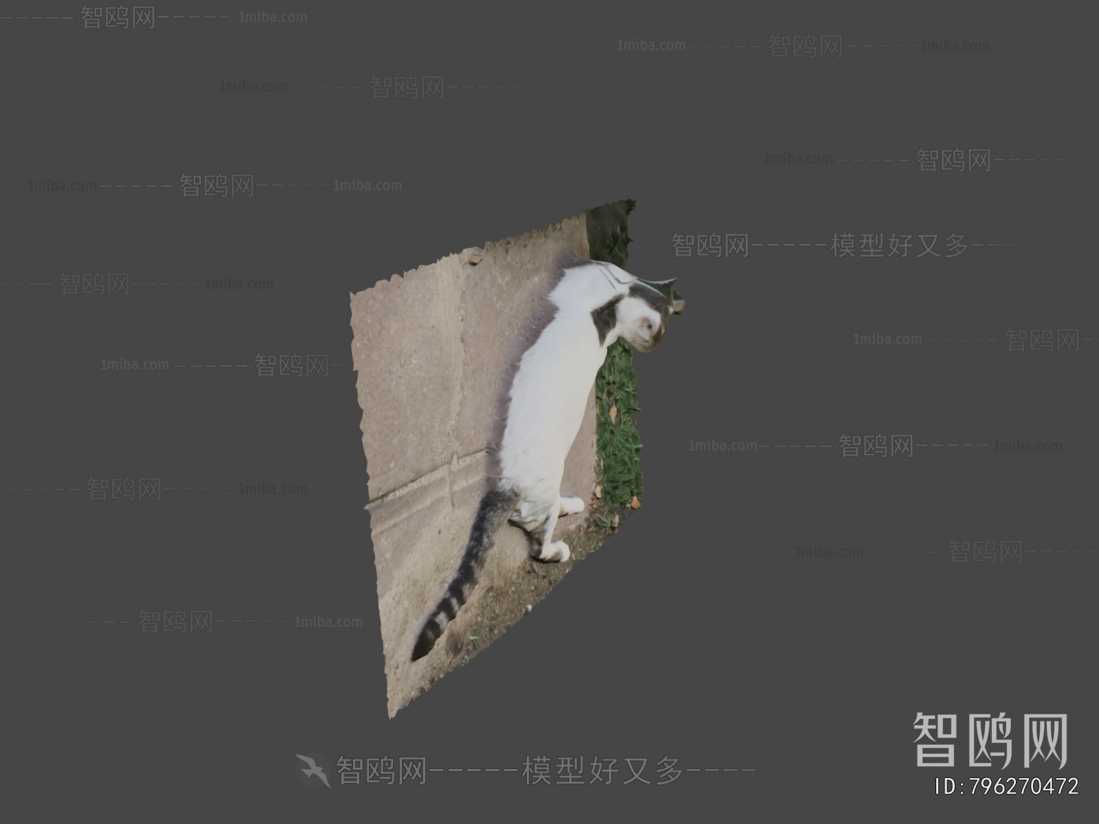 Modern Animal Cat