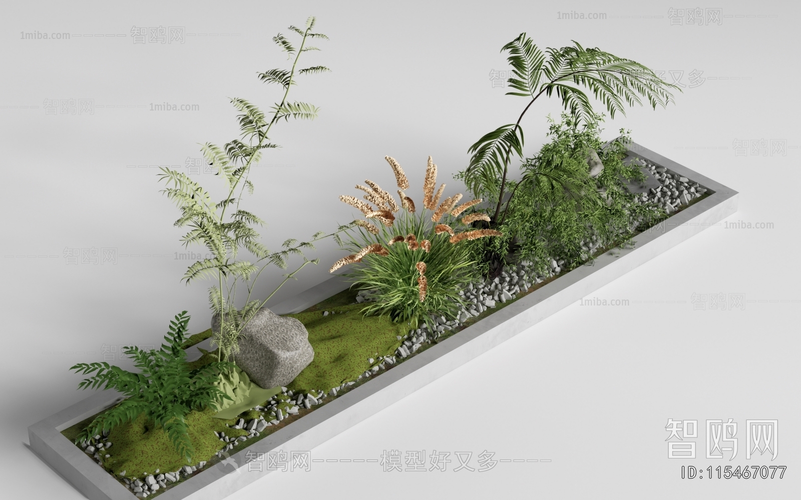 Modern Plant Landscaping