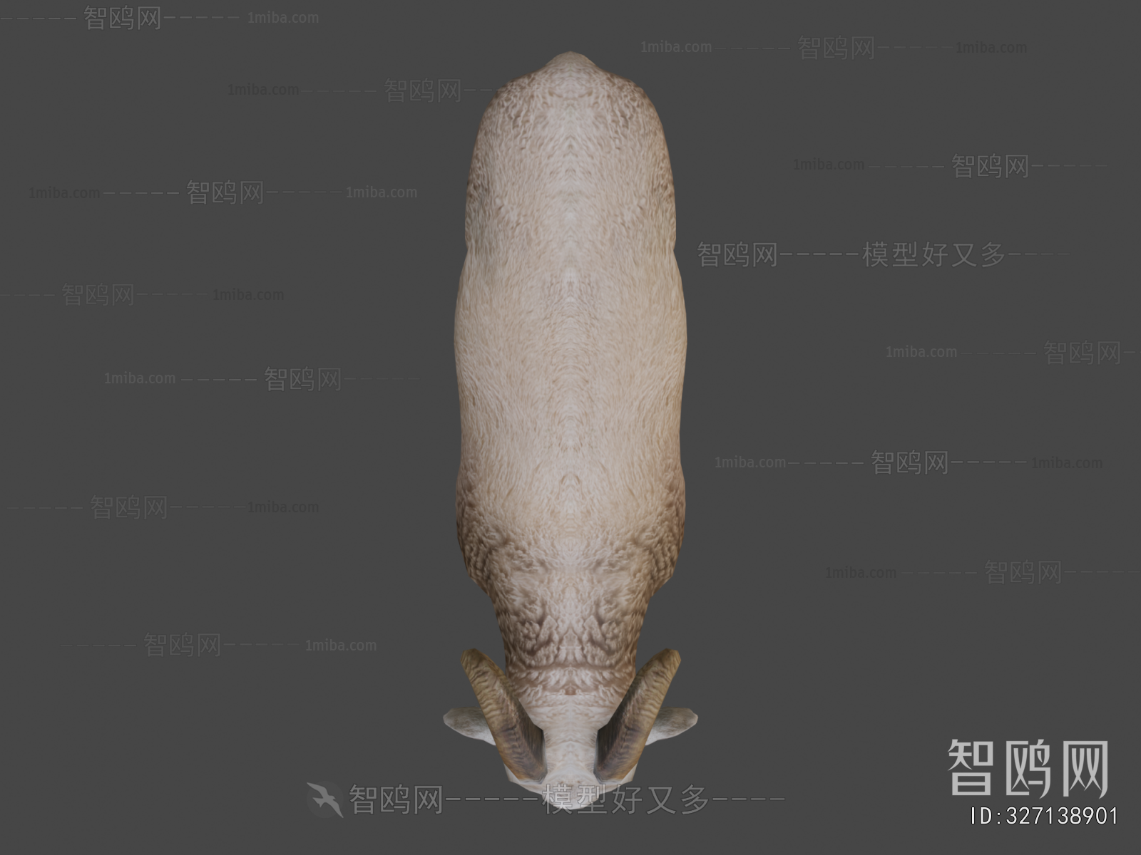 Modern Animal