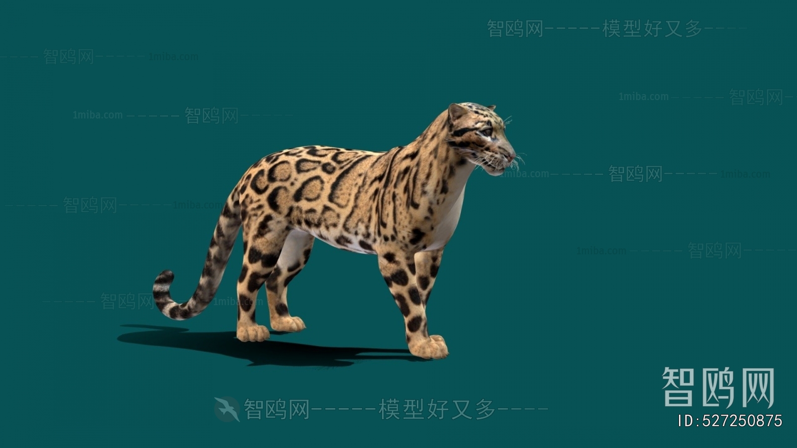 Modern Mammal