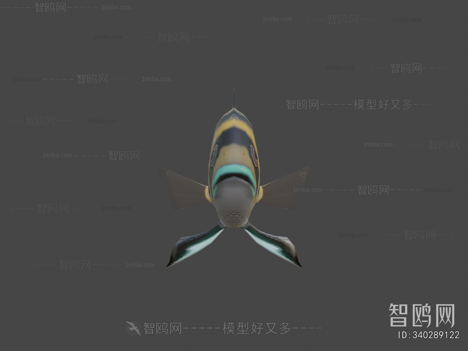 Modern Aquatic Animals