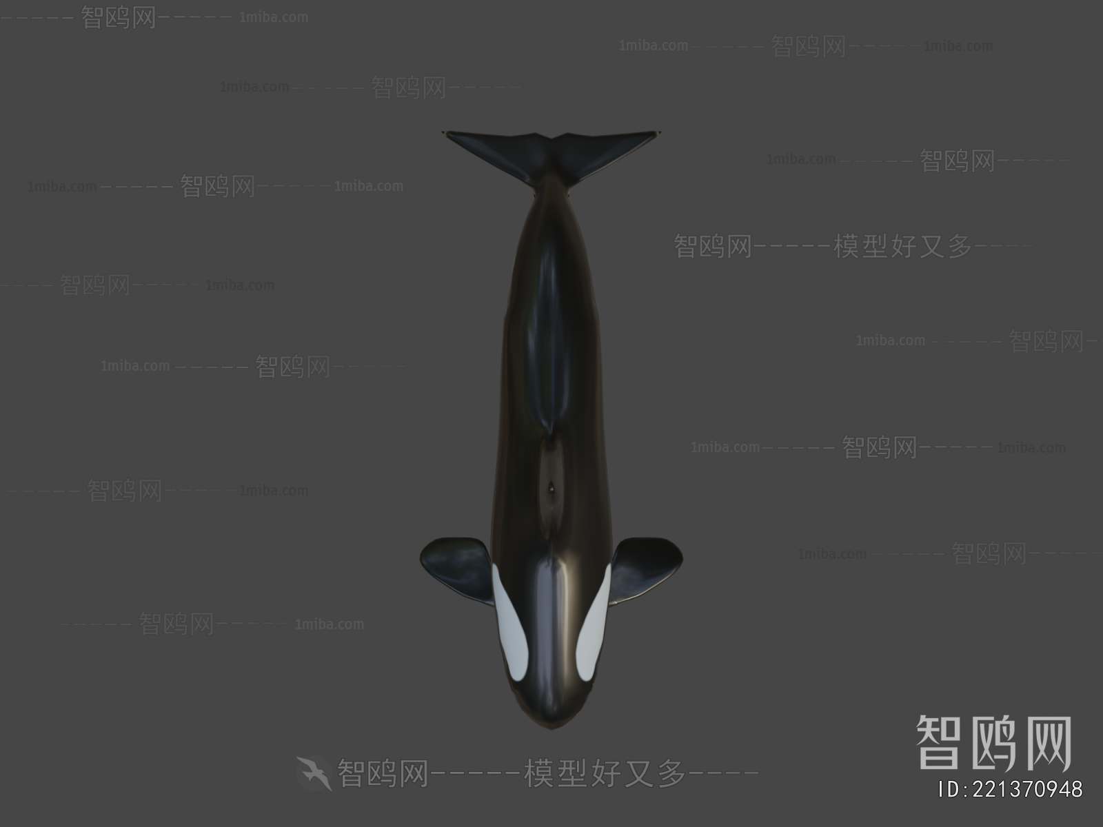 Modern Animal