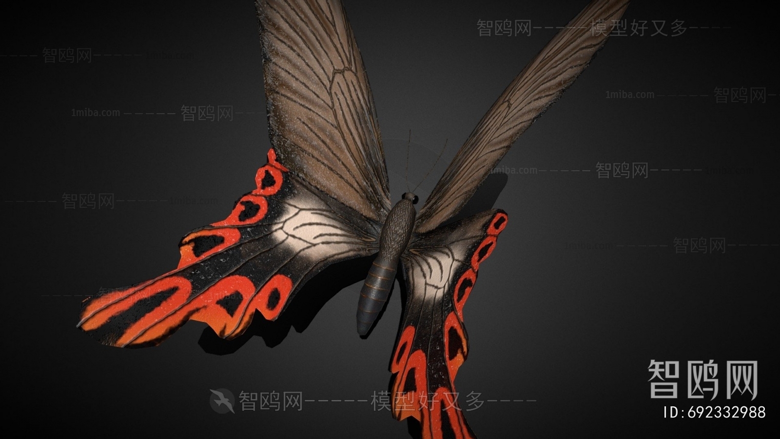 Modern Flying Animals